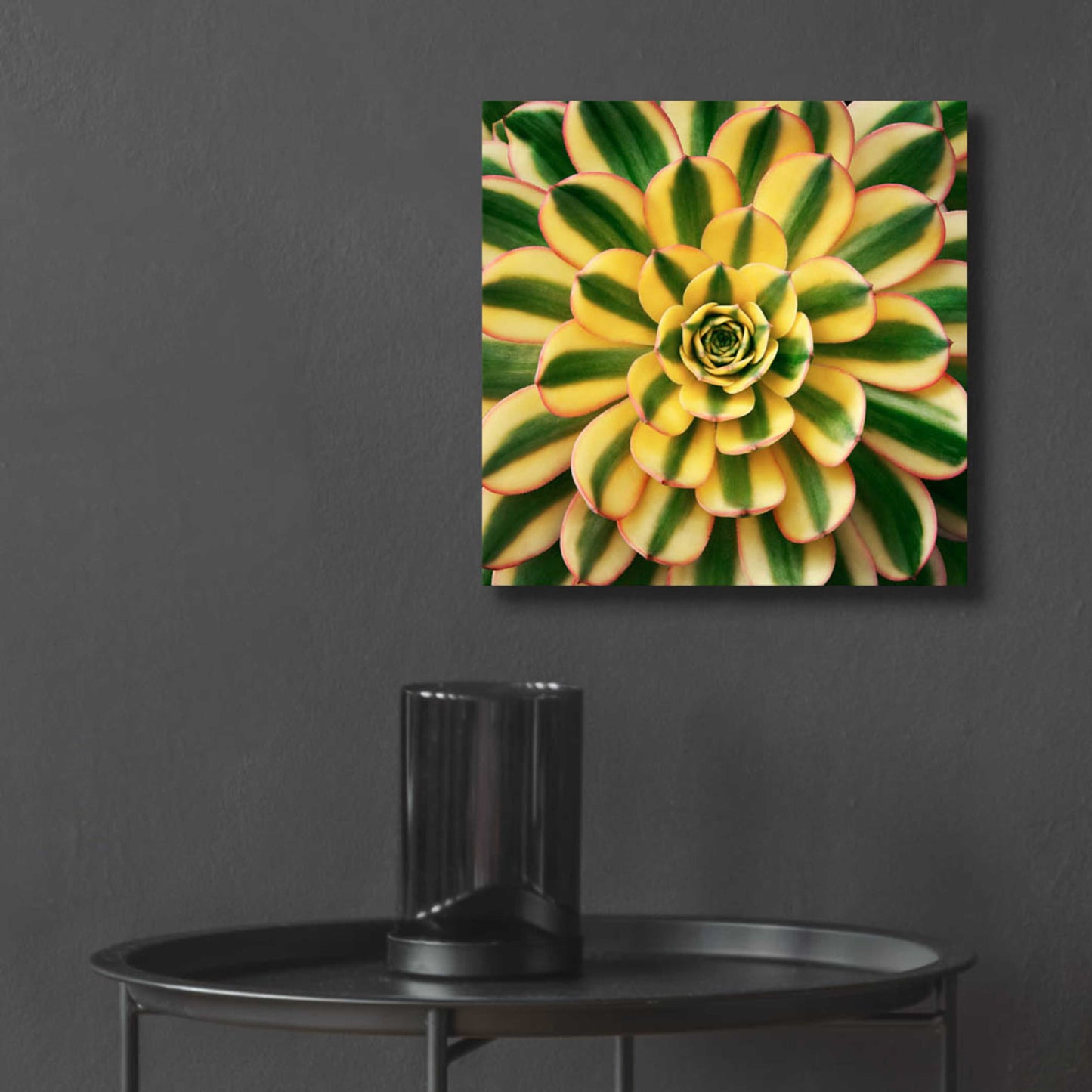 Epic Art 'Striped Succulent' by Jan Bell Acrylic Glass Wall Art,12x12