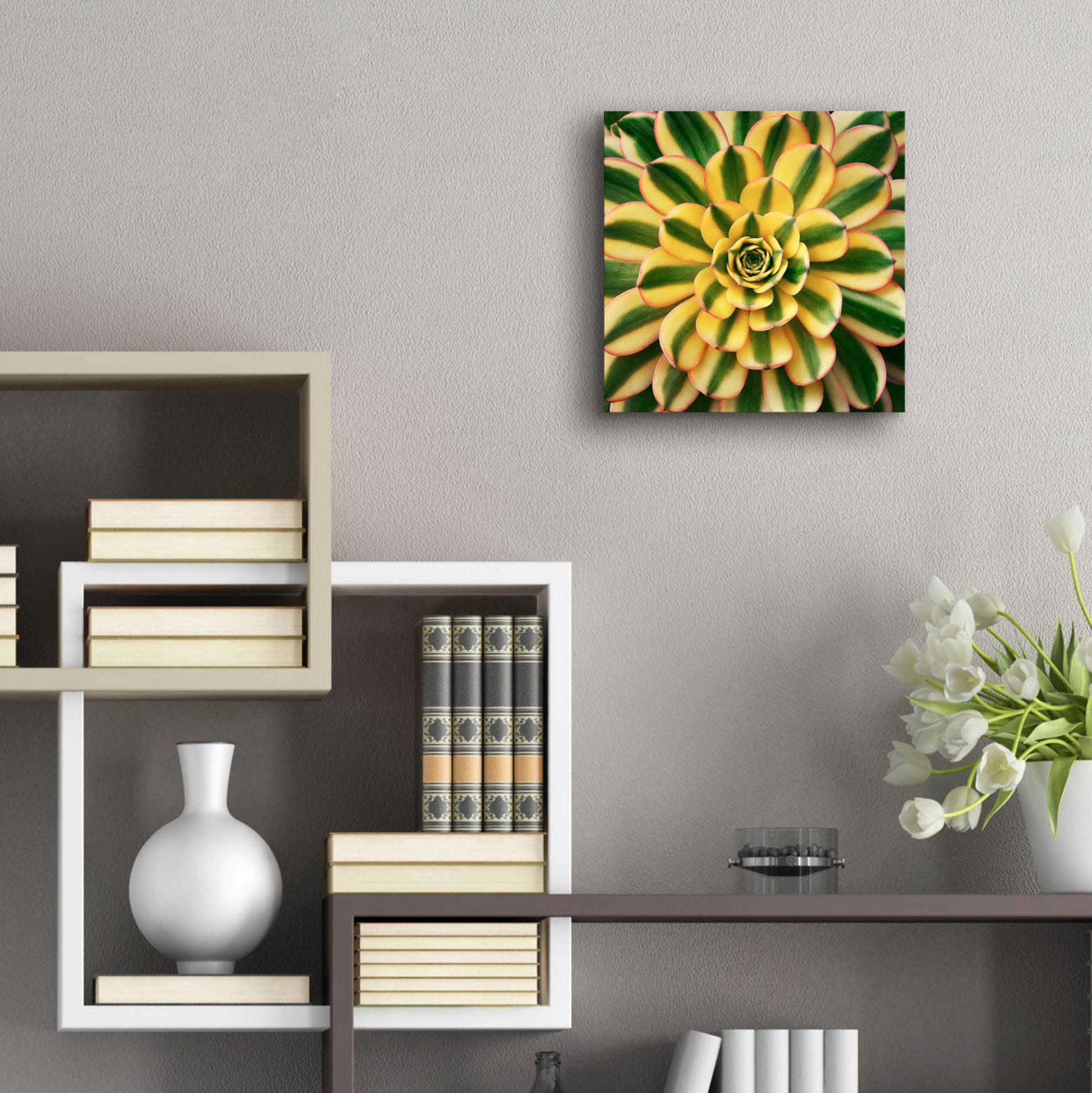 Epic Art 'Striped Succulent' by Jan Bell Acrylic Glass Wall Art,12x12