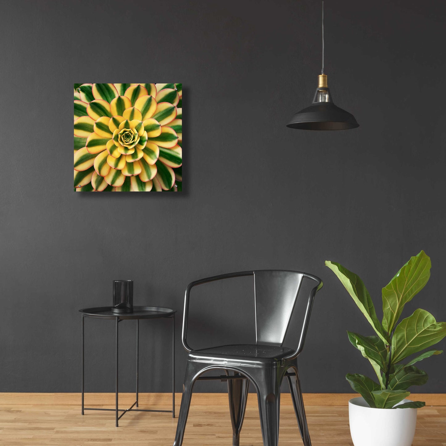 Epic Art 'Striped Succulent' by Jan Bell Acrylic Glass Wall Art,24x24