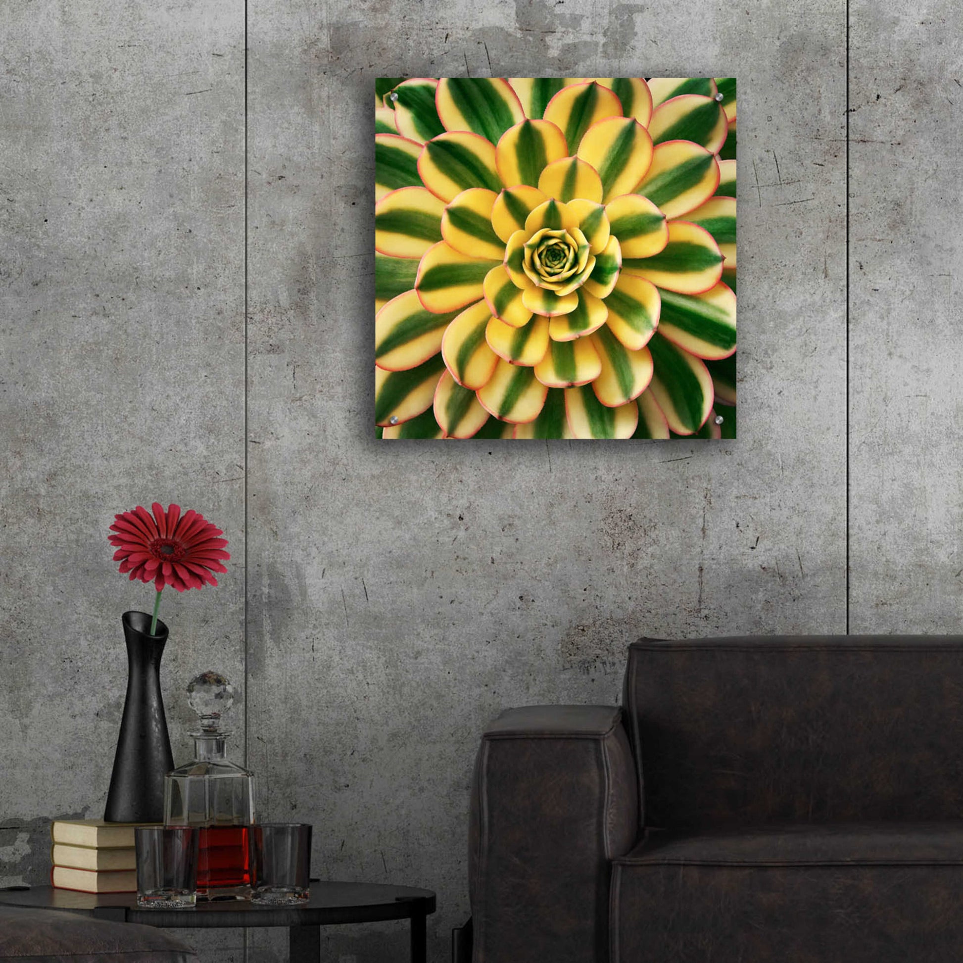 Epic Art 'Striped Succulent' by Jan Bell Acrylic Glass Wall Art,24x24