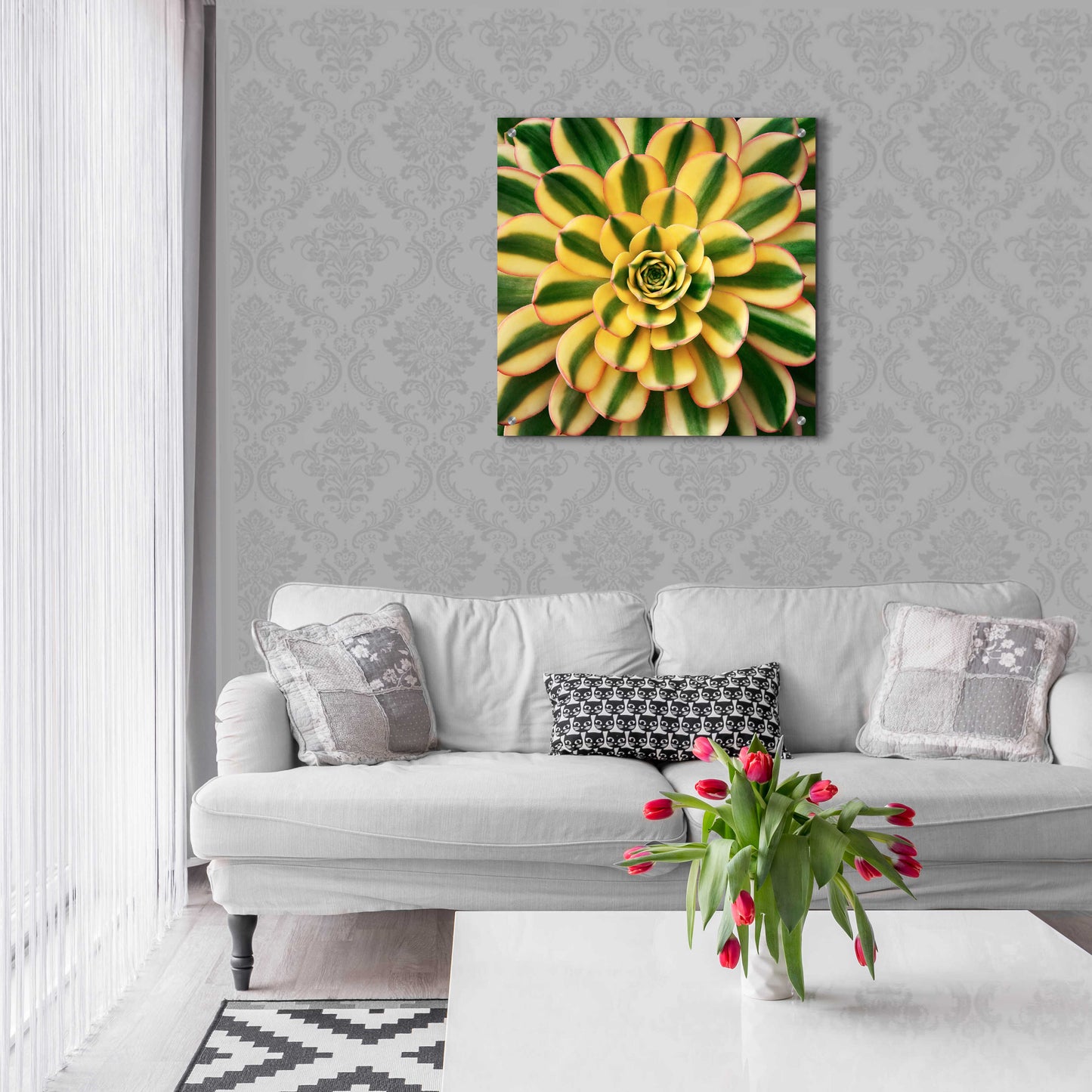 Epic Art 'Striped Succulent' by Jan Bell Acrylic Glass Wall Art,24x24