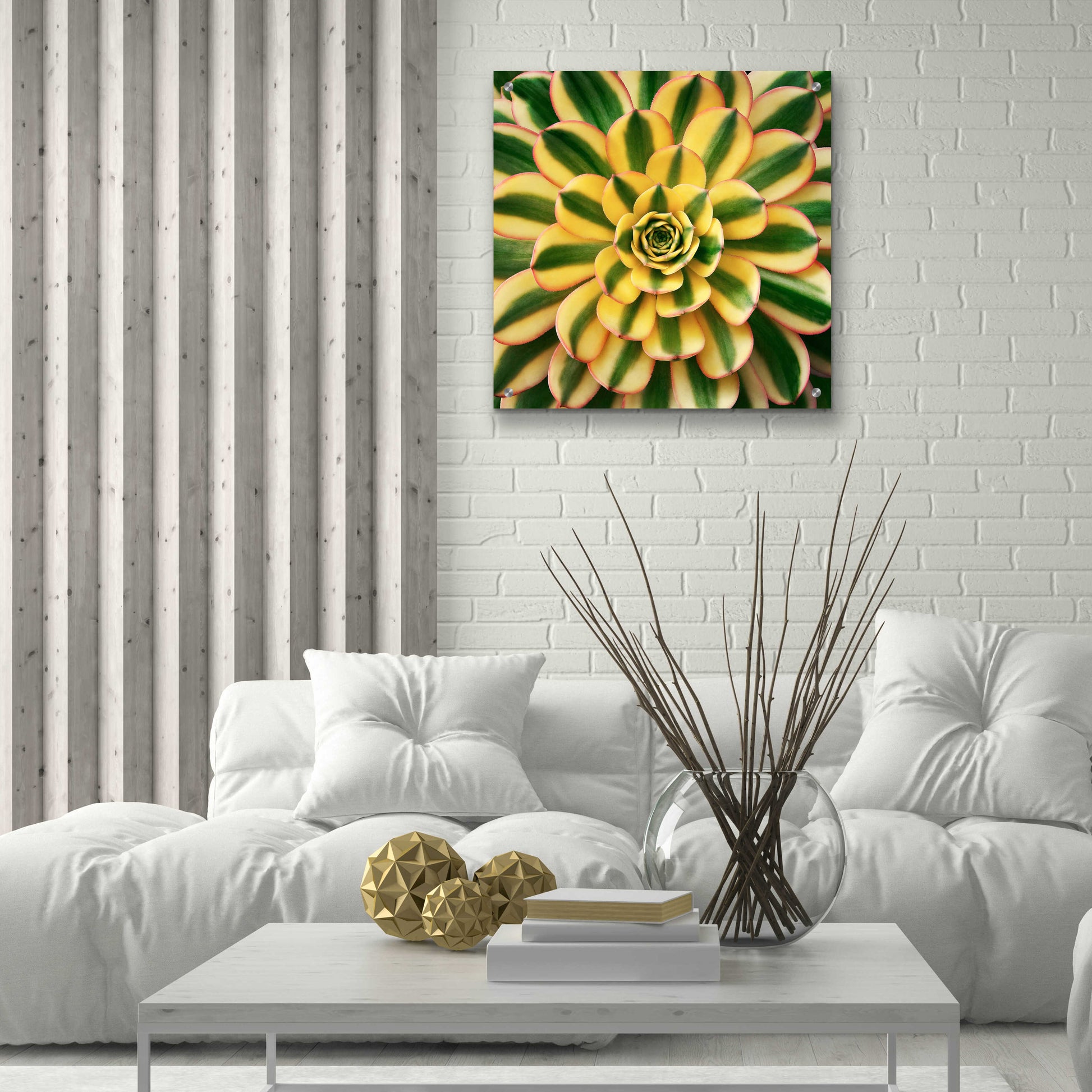 Epic Art 'Striped Succulent' by Jan Bell Acrylic Glass Wall Art,24x24