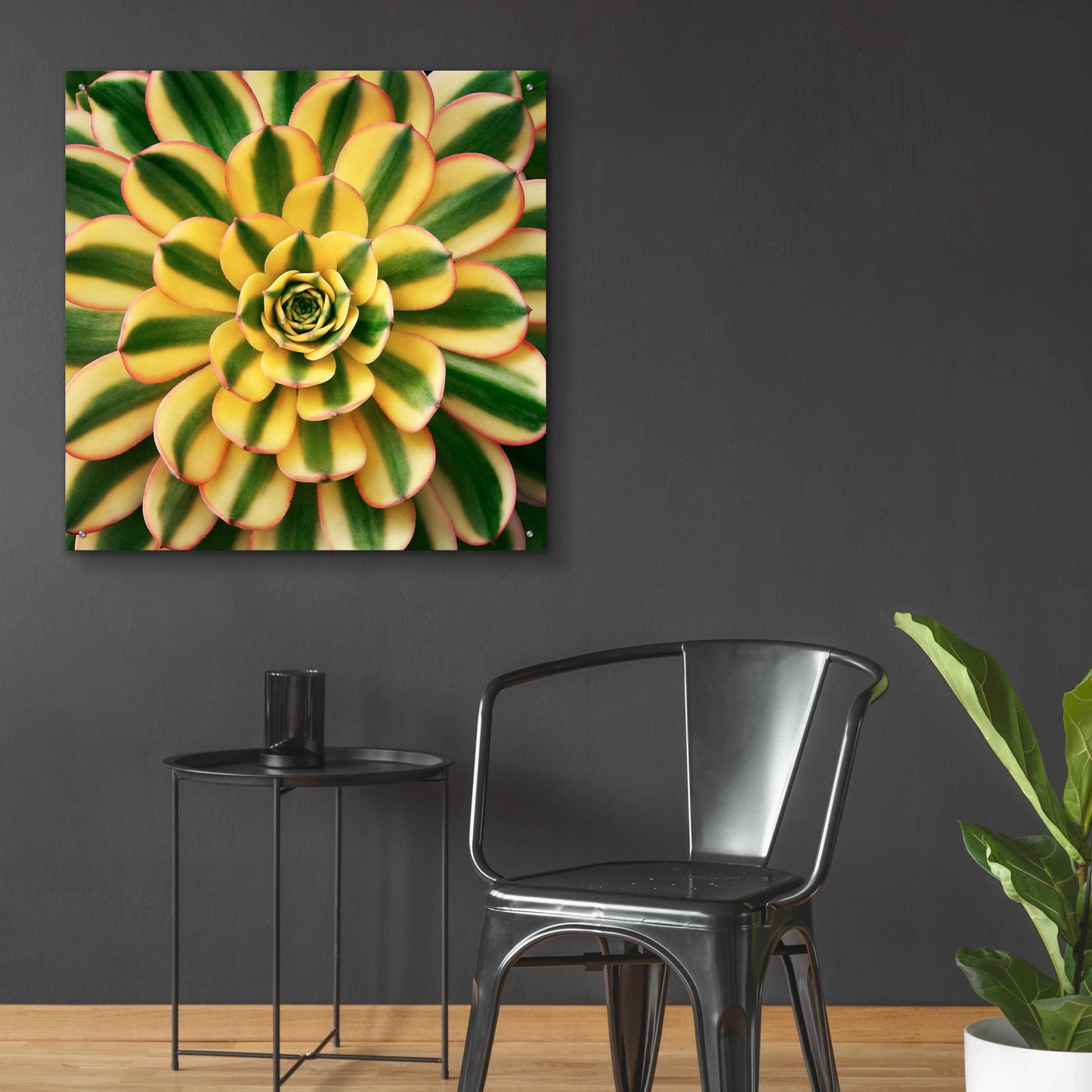 Epic Art 'Striped Succulent' by Jan Bell Acrylic Glass Wall Art,36x36