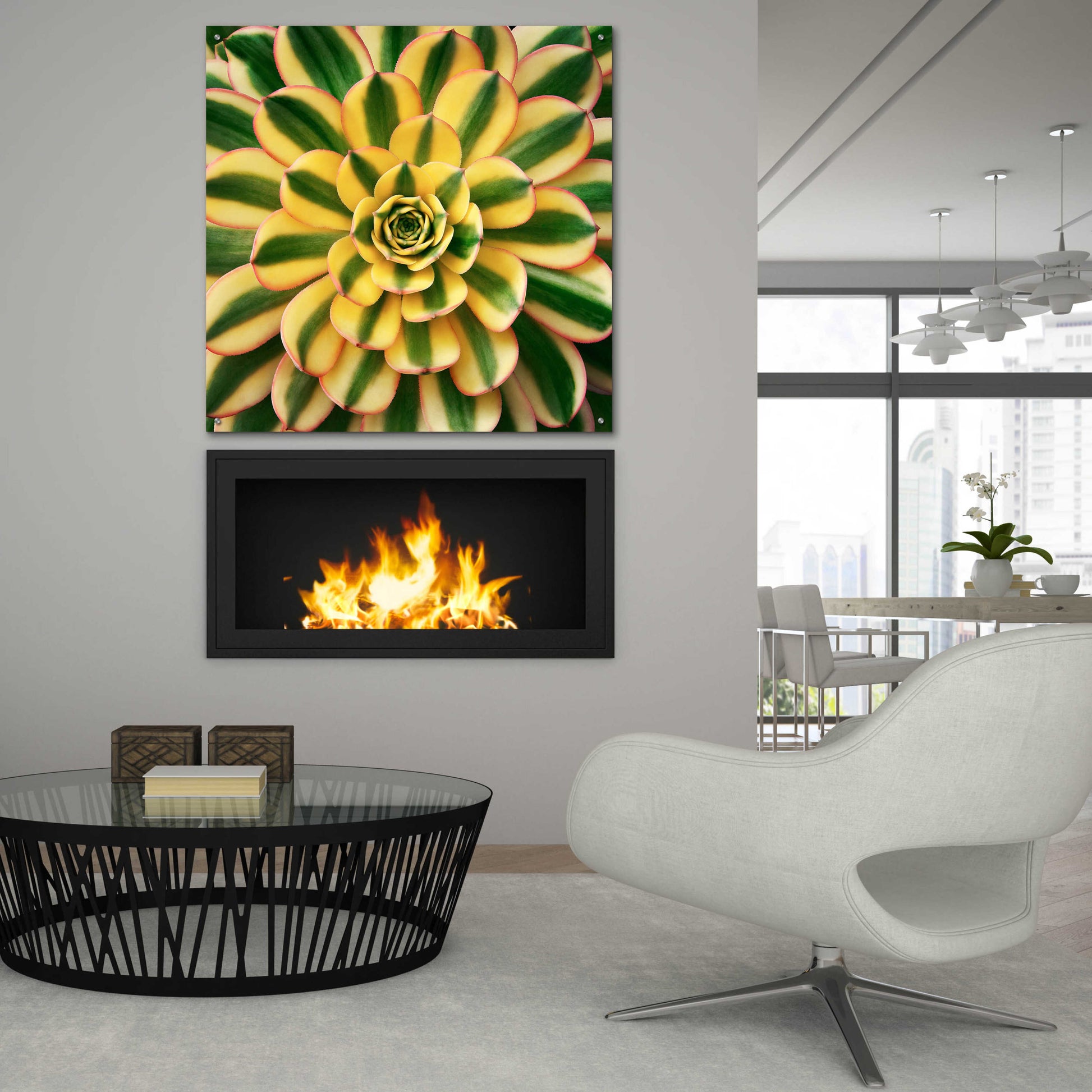 Epic Art 'Striped Succulent' by Jan Bell Acrylic Glass Wall Art,36x36