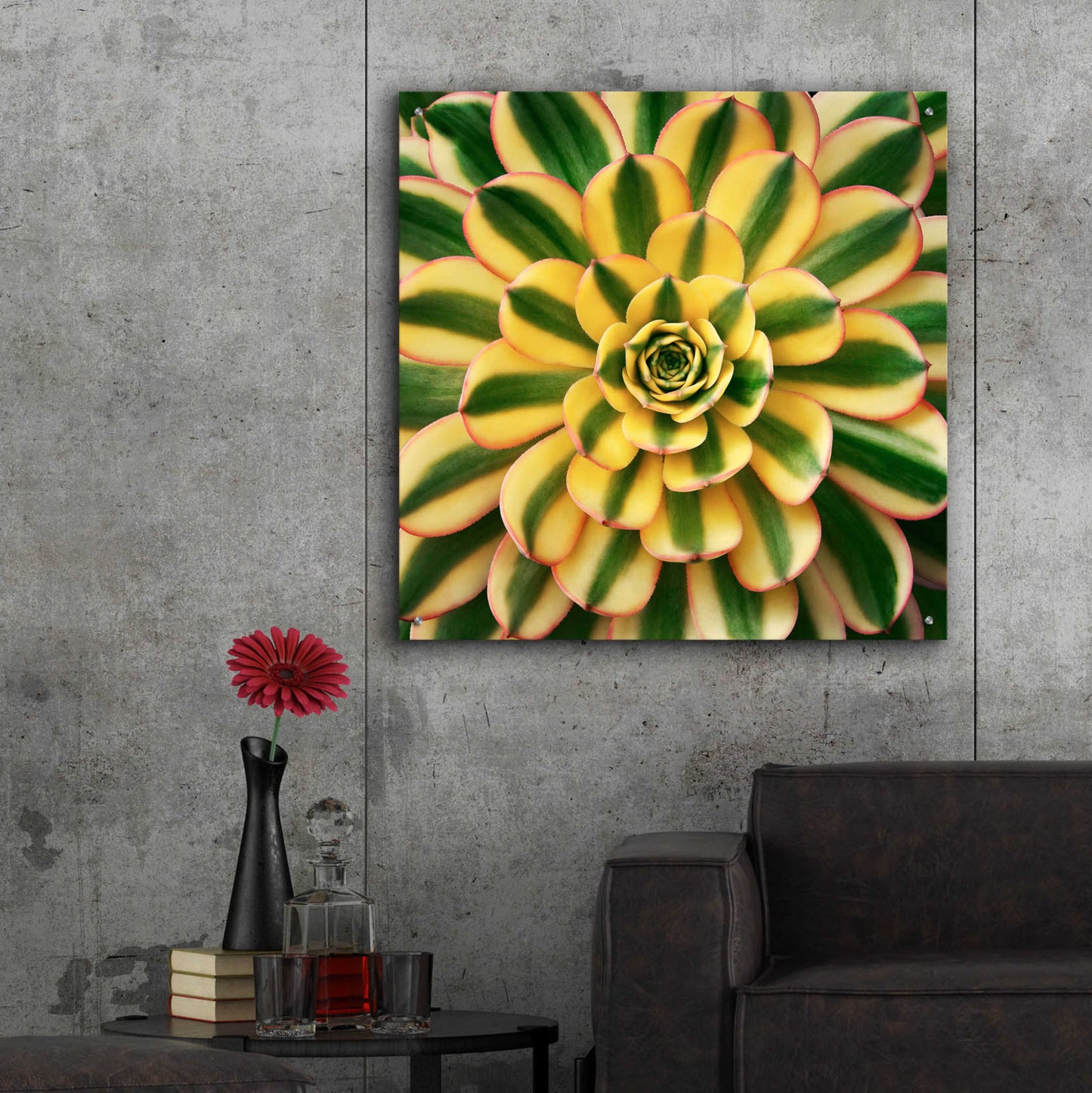 Epic Art 'Striped Succulent' by Jan Bell Acrylic Glass Wall Art,36x36