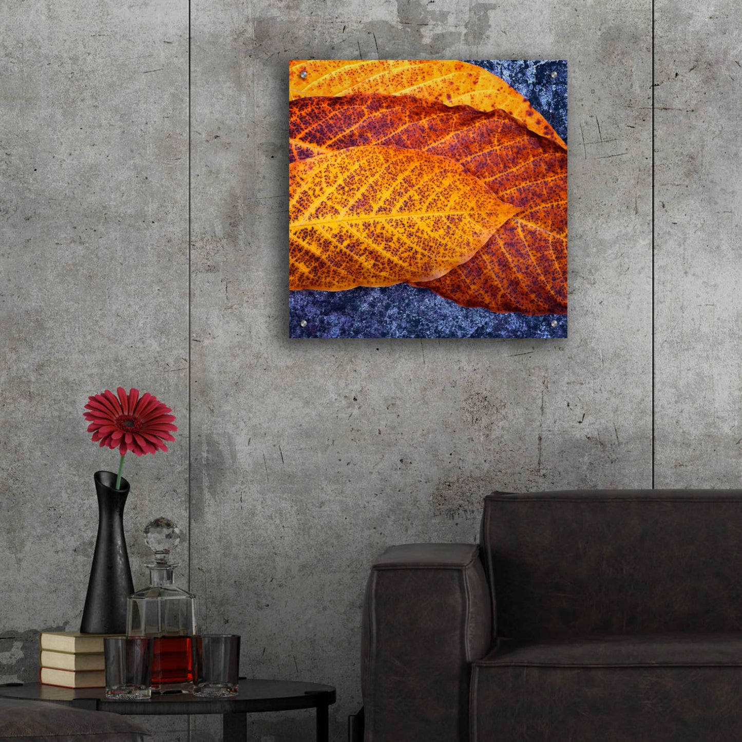 Epic Art 'Three Leaves' by Jan Bell Acrylic Glass Wall Art,24x24