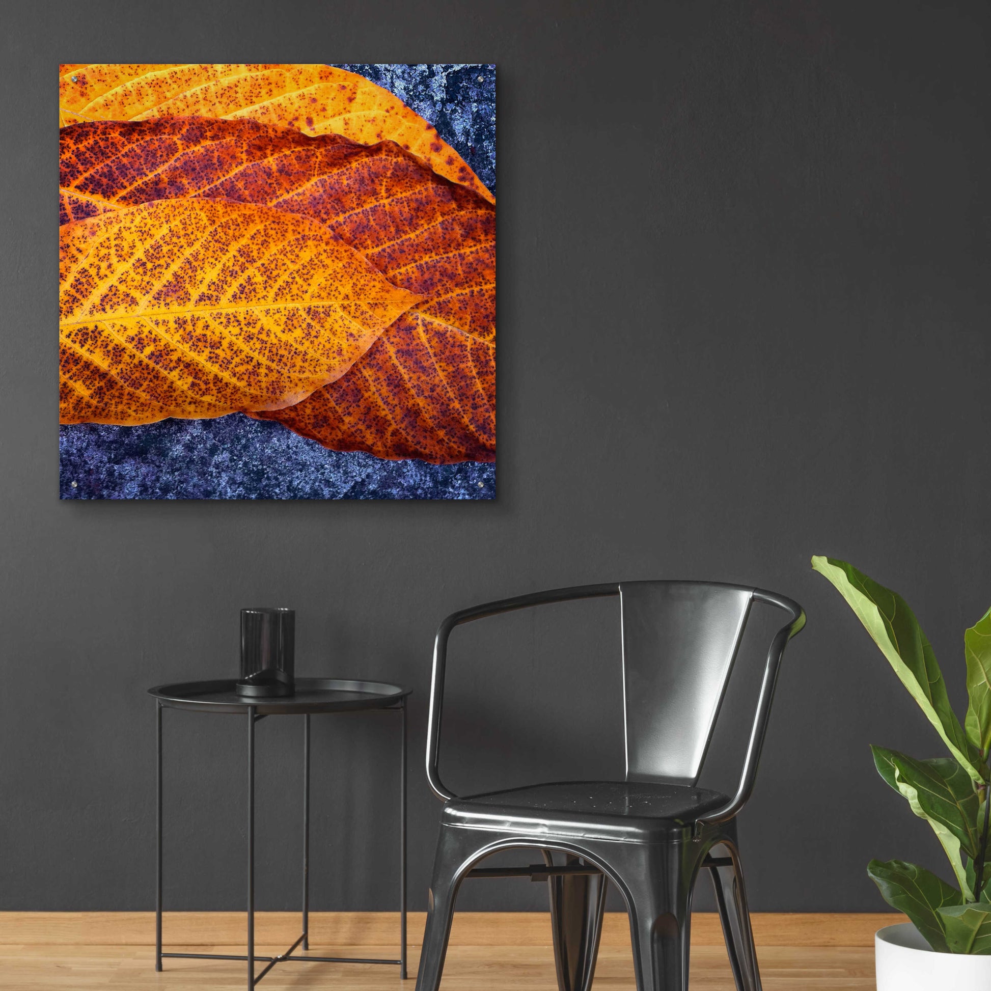 Epic Art 'Three Leaves' by Jan Bell Acrylic Glass Wall Art,36x36