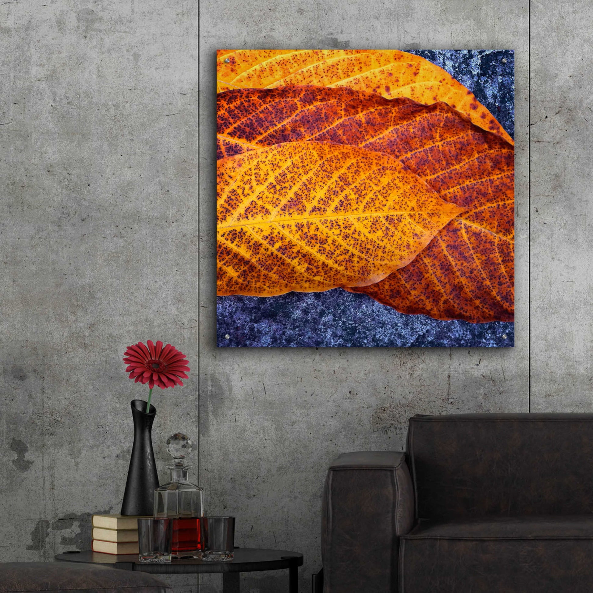 Epic Art 'Three Leaves' by Jan Bell Acrylic Glass Wall Art,36x36