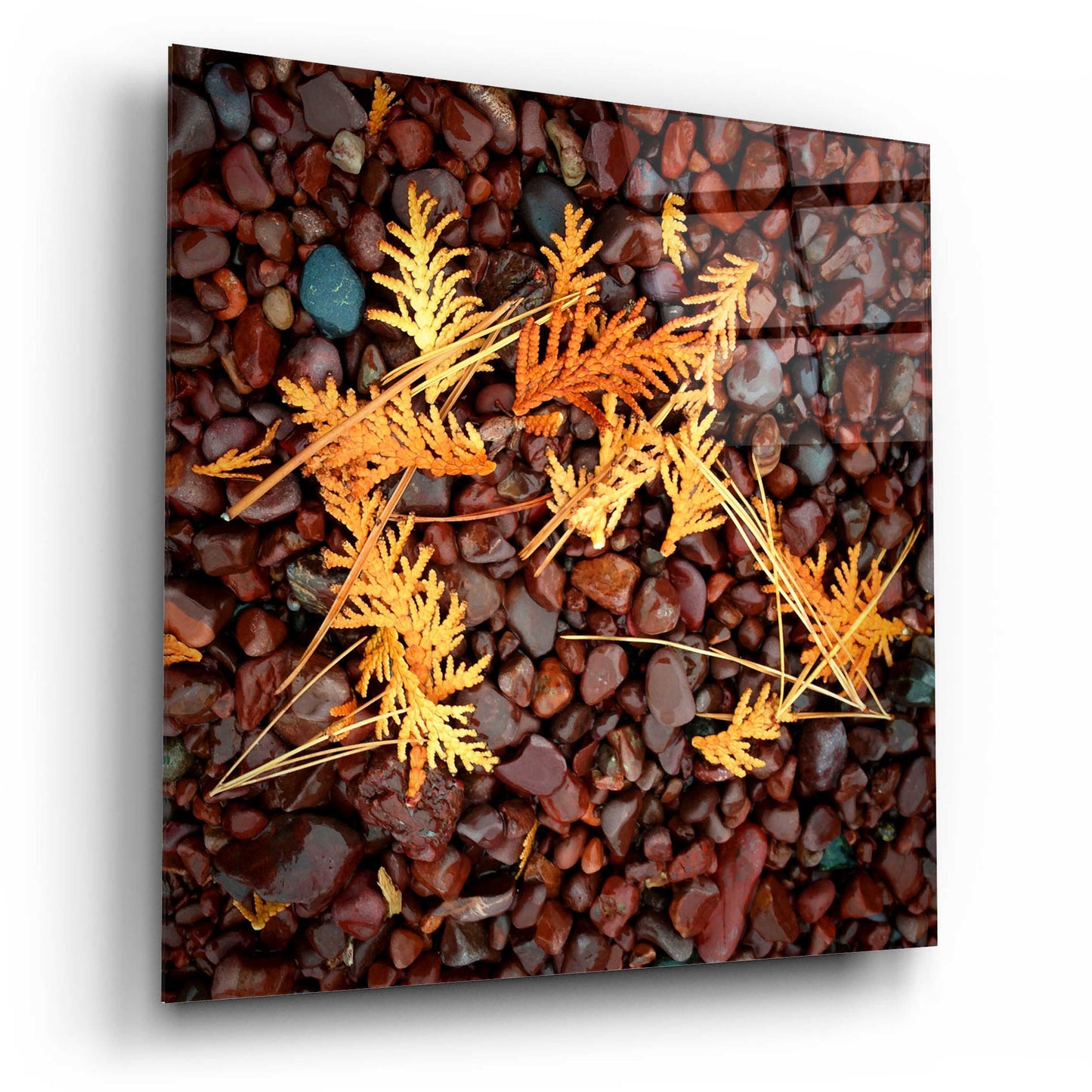 Epic Art 'Brown Pebbles with Cedar' by Jan Bell Acrylic Glass Wall Art,12x12