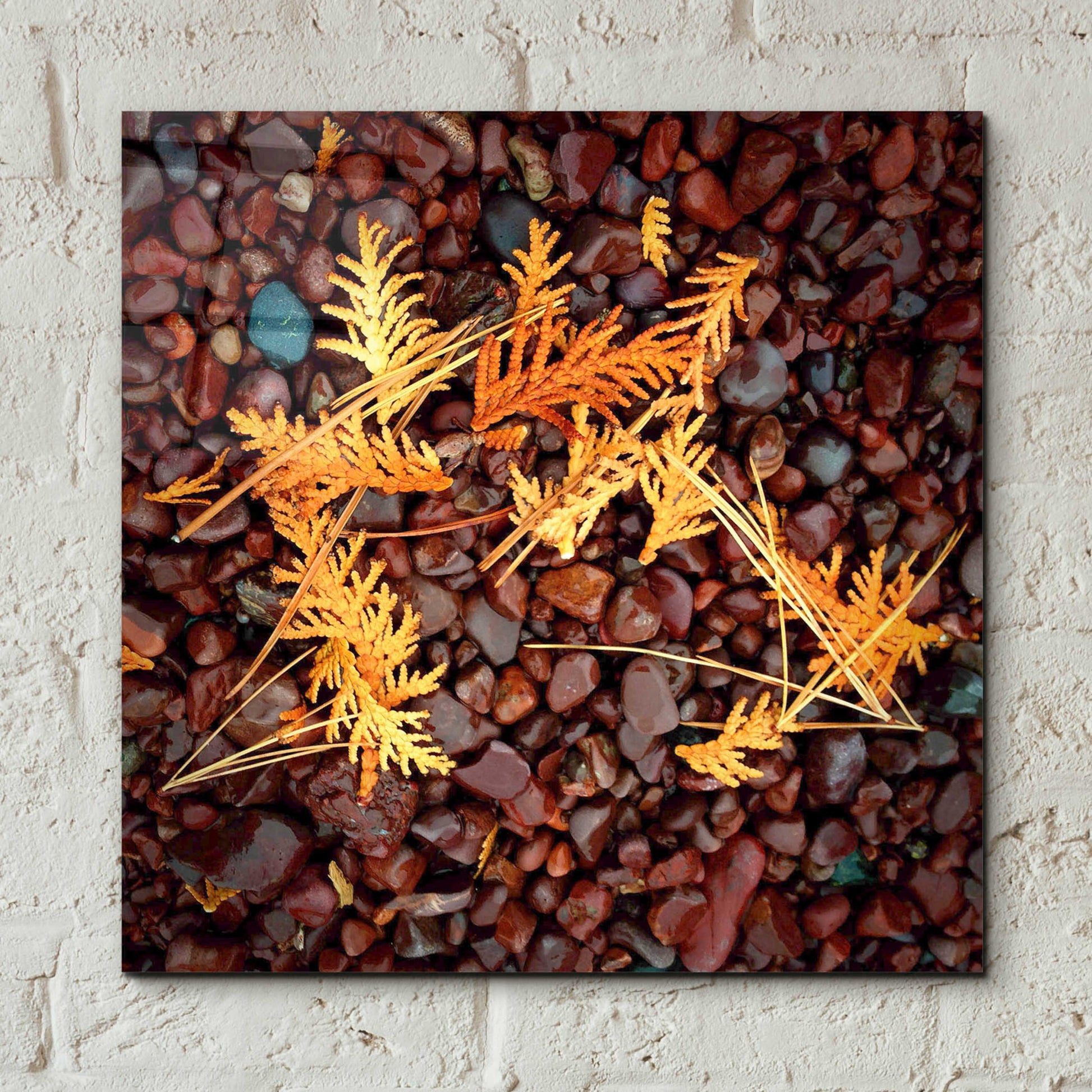 Epic Art 'Brown Pebbles with Cedar' by Jan Bell Acrylic Glass Wall Art,12x12