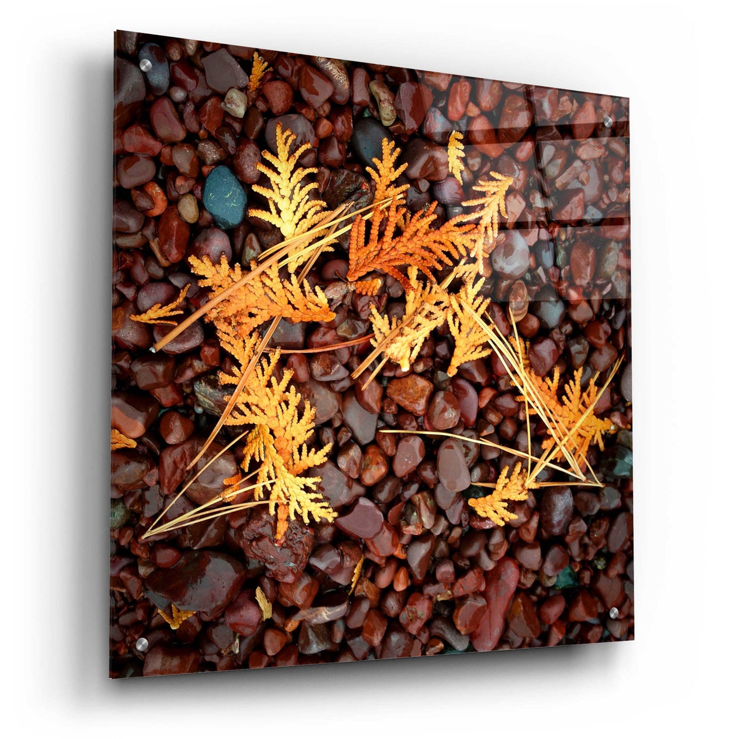 Epic Art 'Brown Pebbles with Cedar' by Jan Bell Acrylic Glass Wall Art,24x24