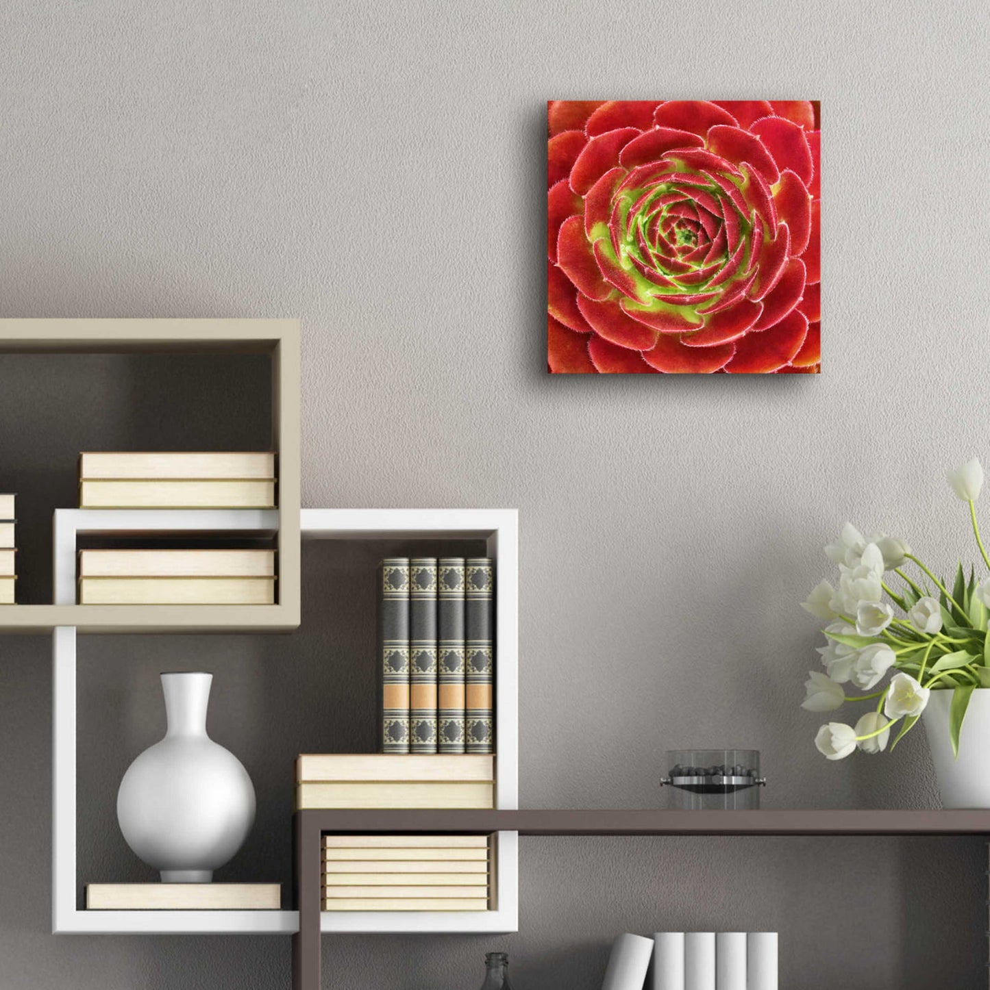 Epic Art 'Fuzzy Red Succulent' by Jan Bell Acrylic Glass Wall Art,12x12