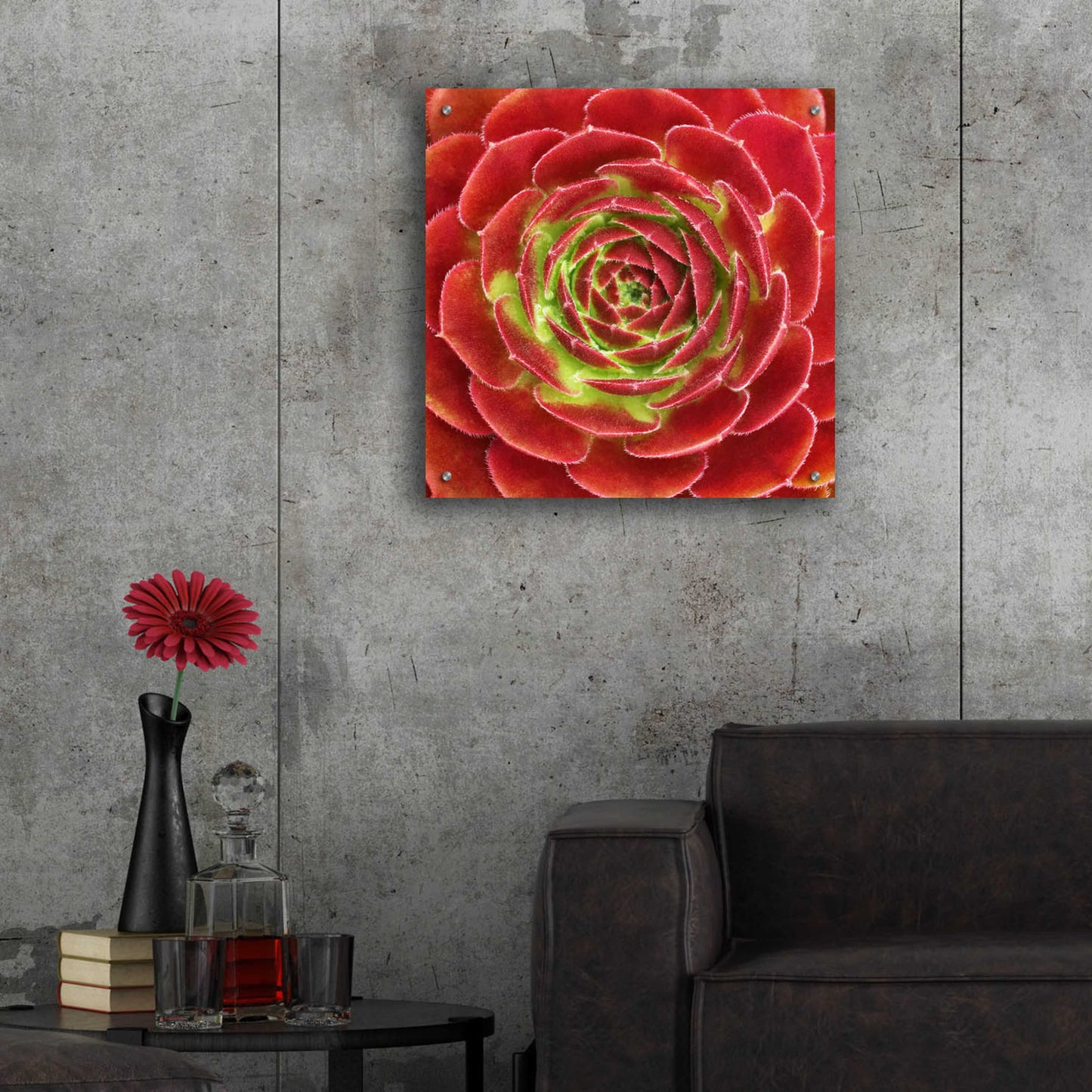 Epic Art 'Fuzzy Red Succulent' by Jan Bell Acrylic Glass Wall Art,24x24