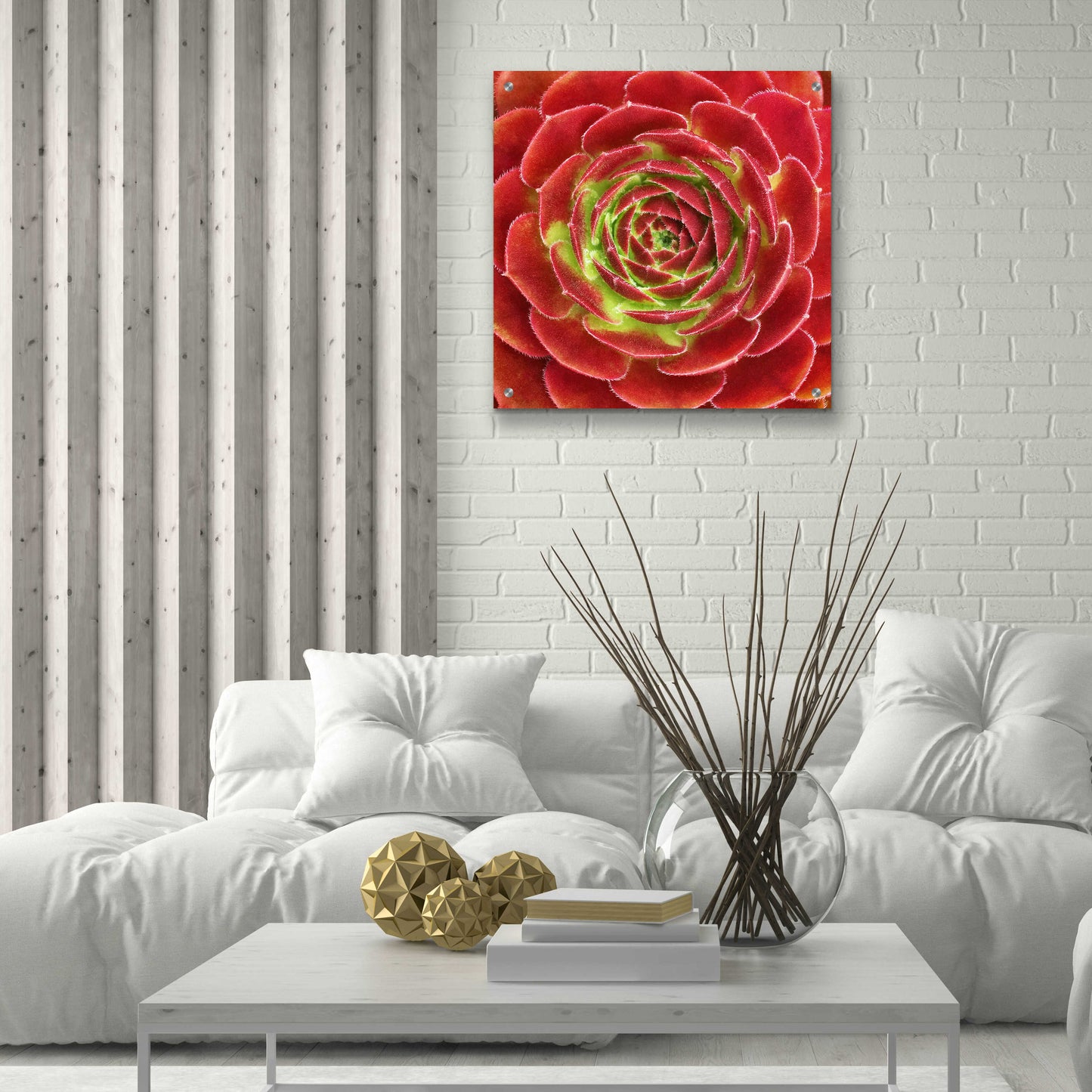 Epic Art 'Fuzzy Red Succulent' by Jan Bell Acrylic Glass Wall Art,24x24