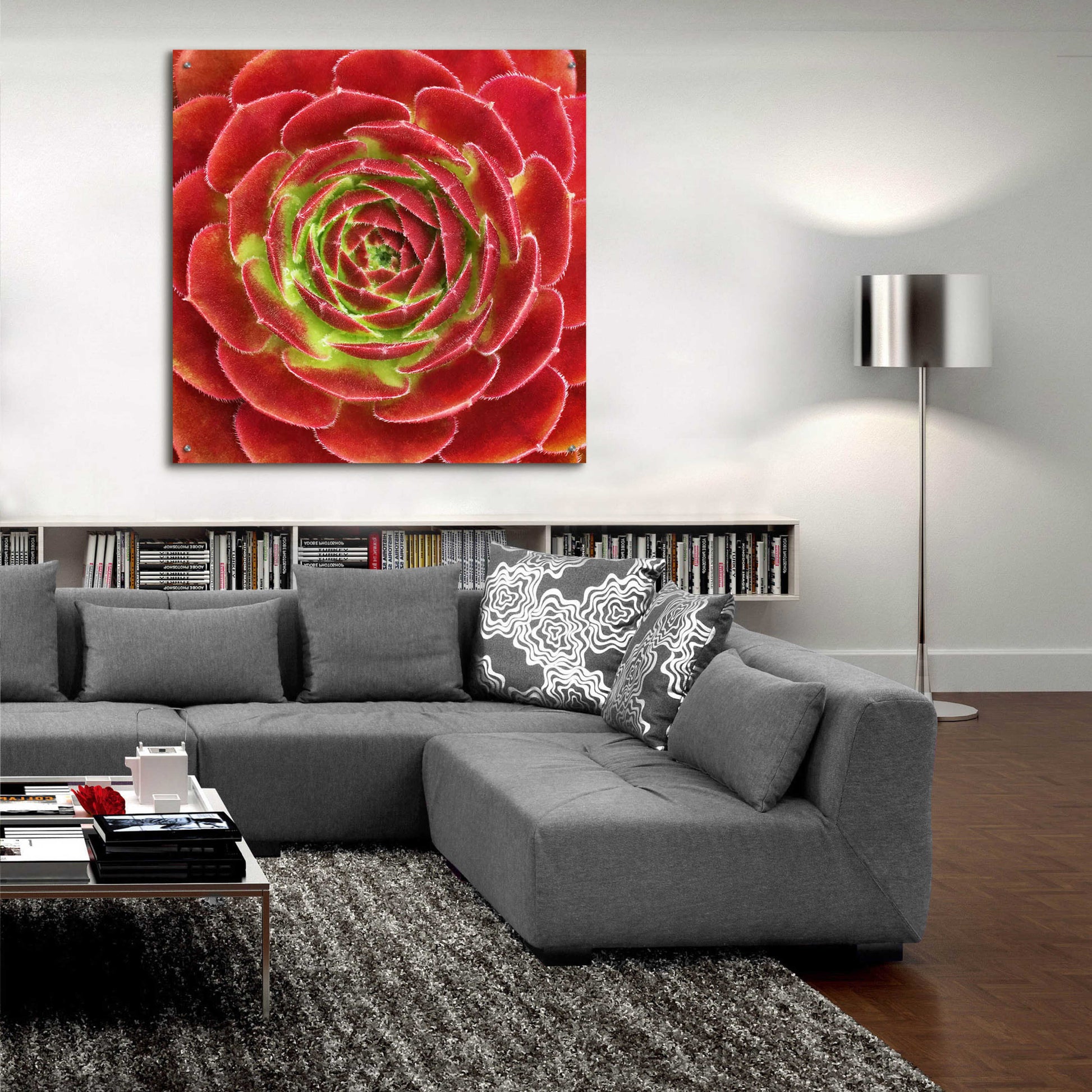 Epic Art 'Fuzzy Red Succulent' by Jan Bell Acrylic Glass Wall Art,36x36