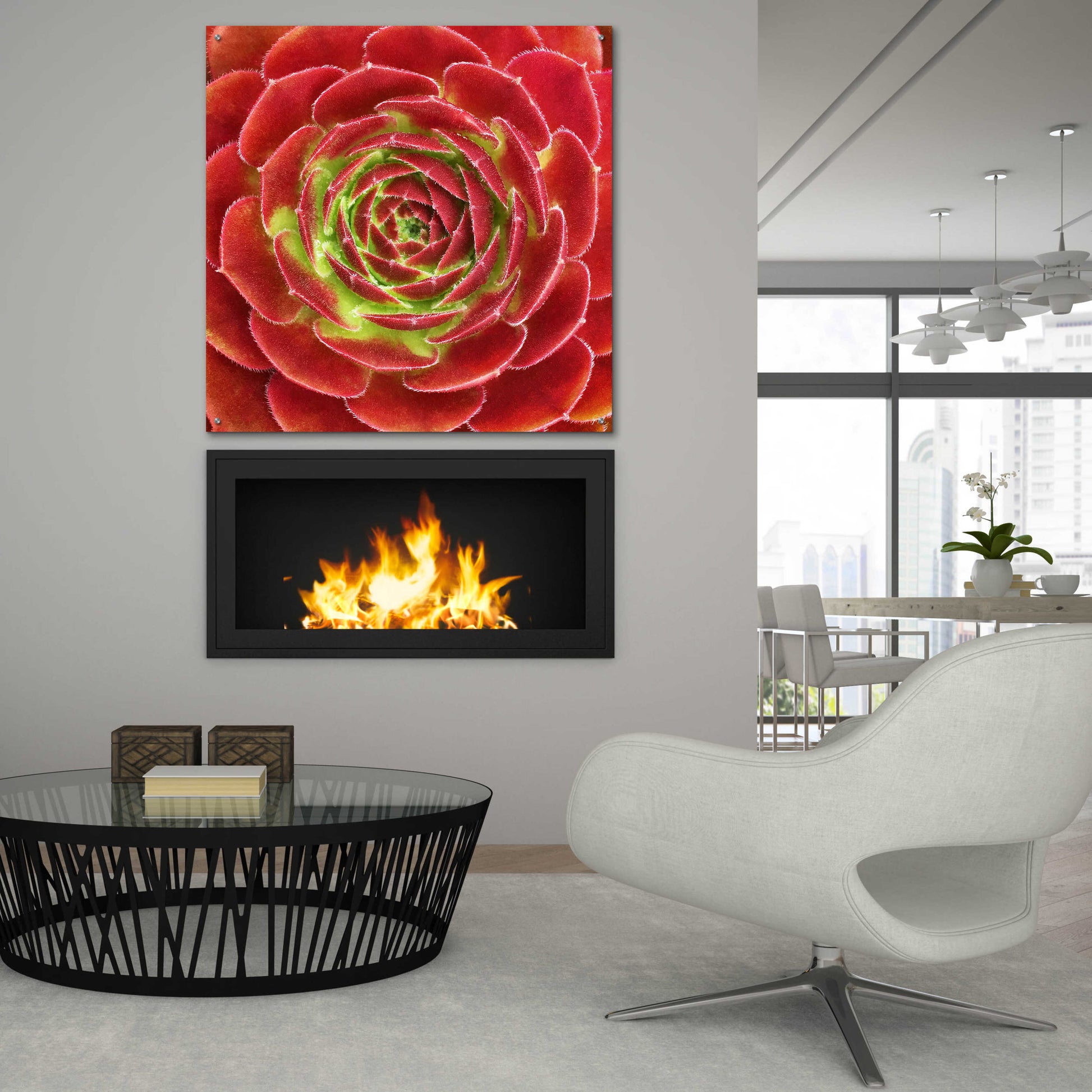 Epic Art 'Fuzzy Red Succulent' by Jan Bell Acrylic Glass Wall Art,36x36