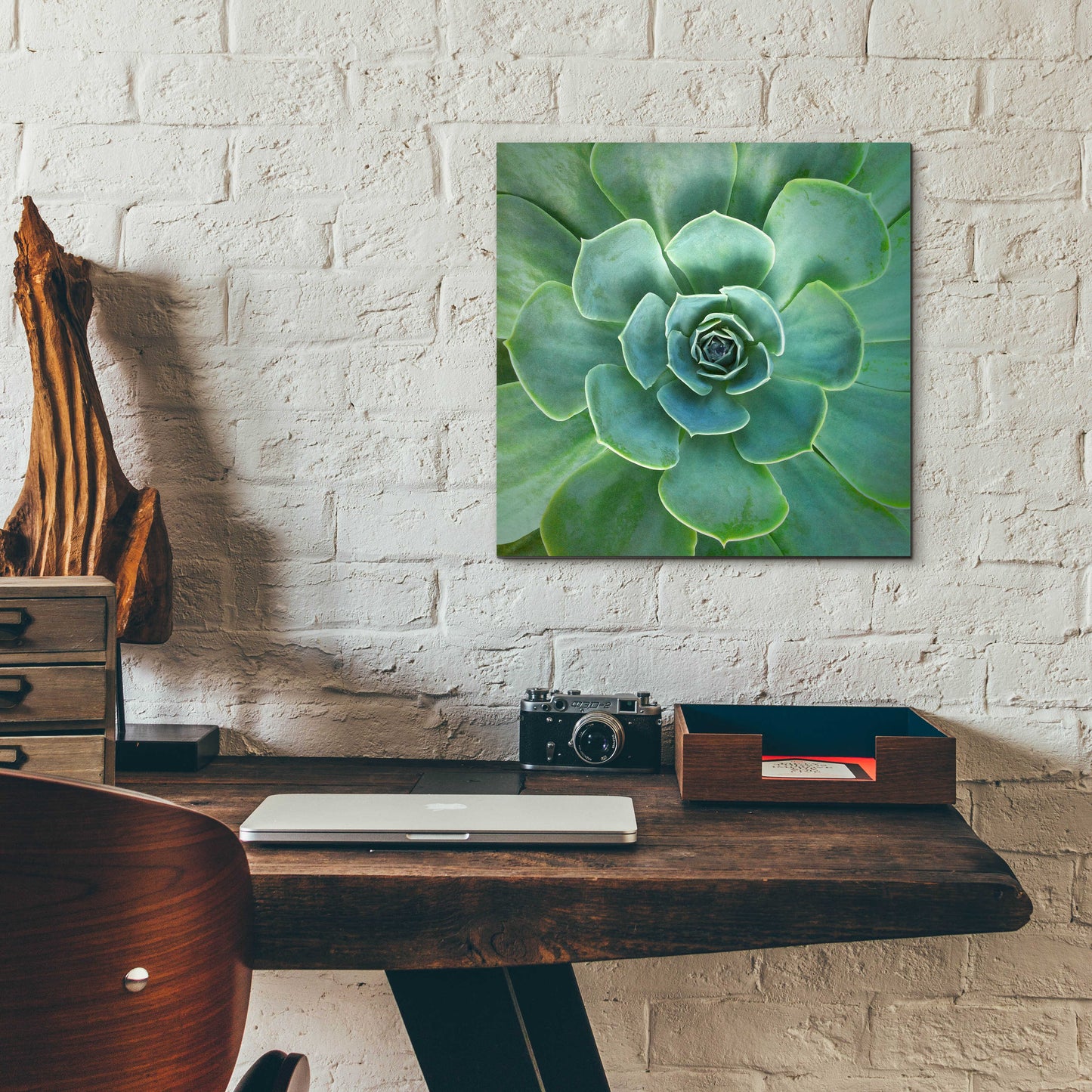 Epic Art 'Glowing Succulent' by Jan Bell Acrylic Glass Wall Art,12x12