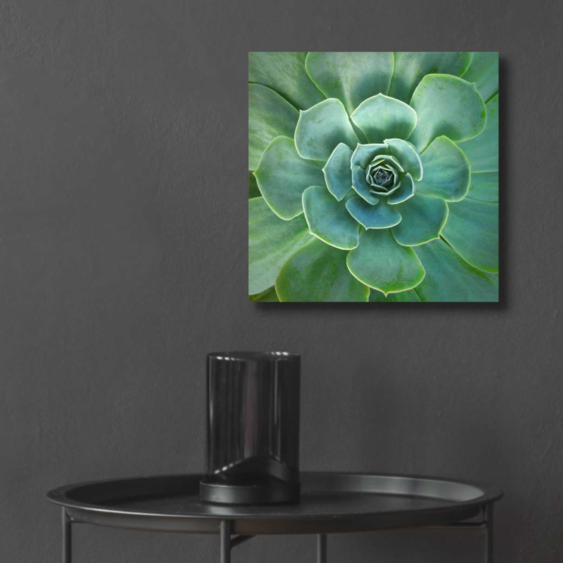 Epic Art 'Glowing Succulent' by Jan Bell Acrylic Glass Wall Art,12x12