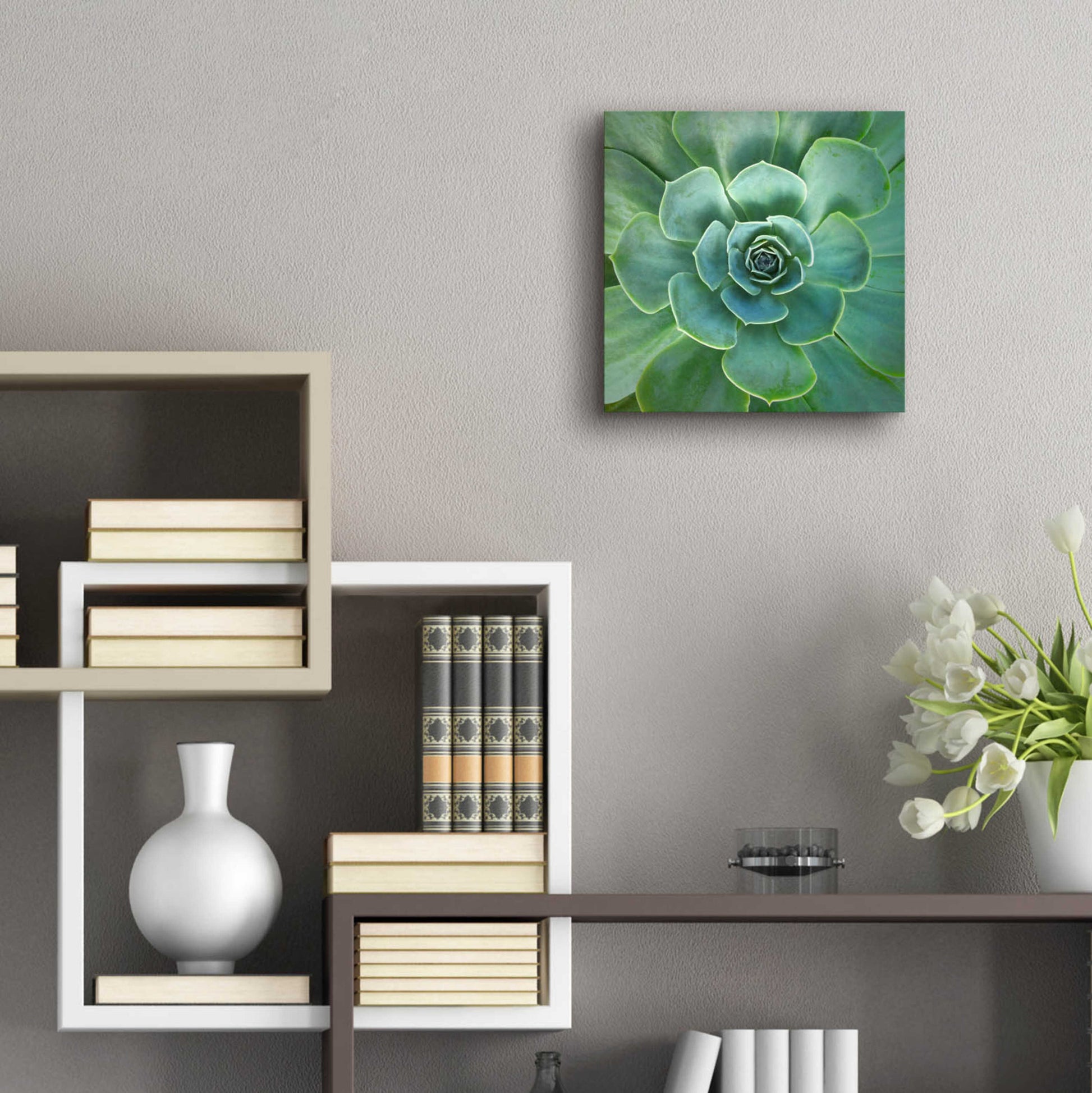 Epic Art 'Glowing Succulent' by Jan Bell Acrylic Glass Wall Art,12x12