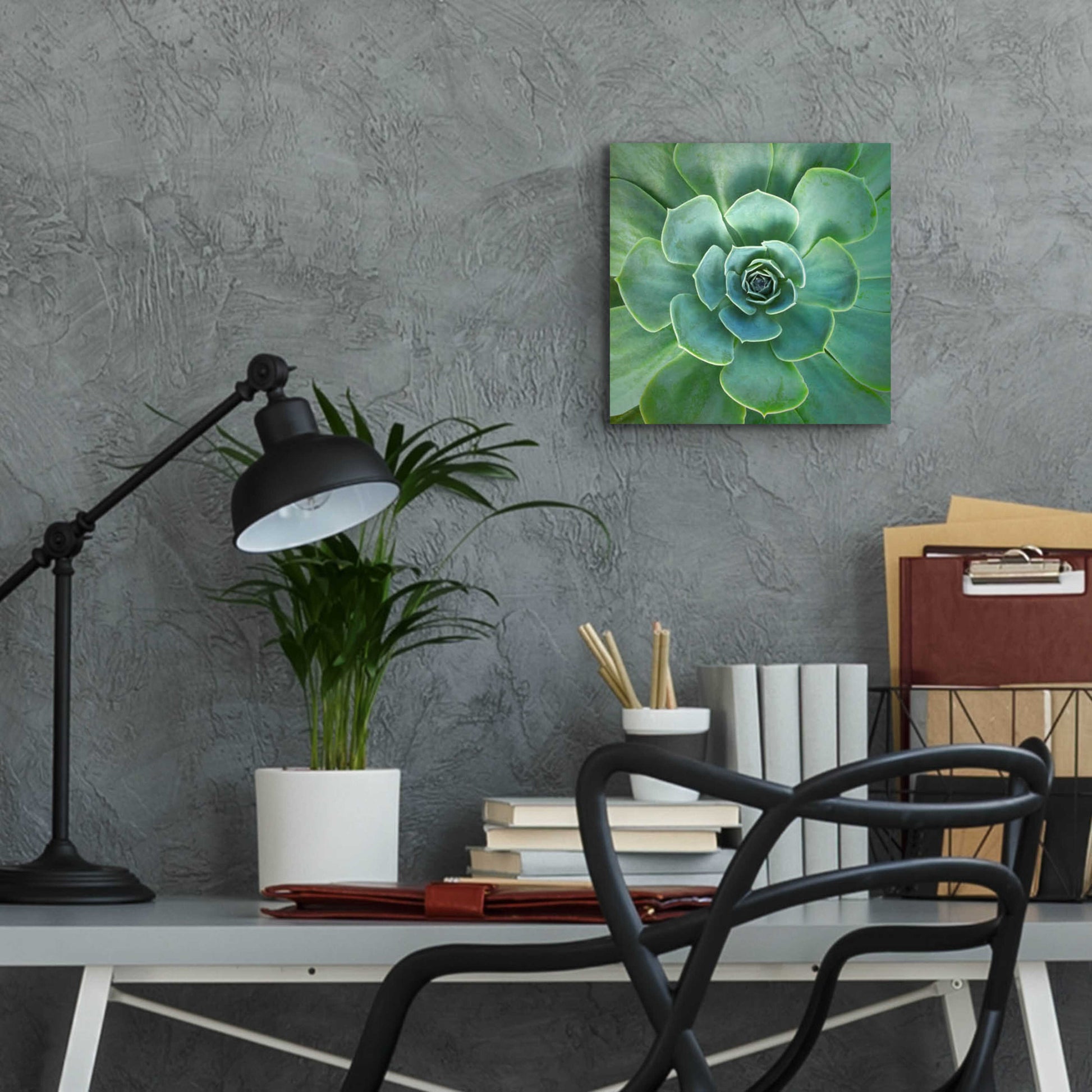 Epic Art 'Glowing Succulent' by Jan Bell Acrylic Glass Wall Art,12x12