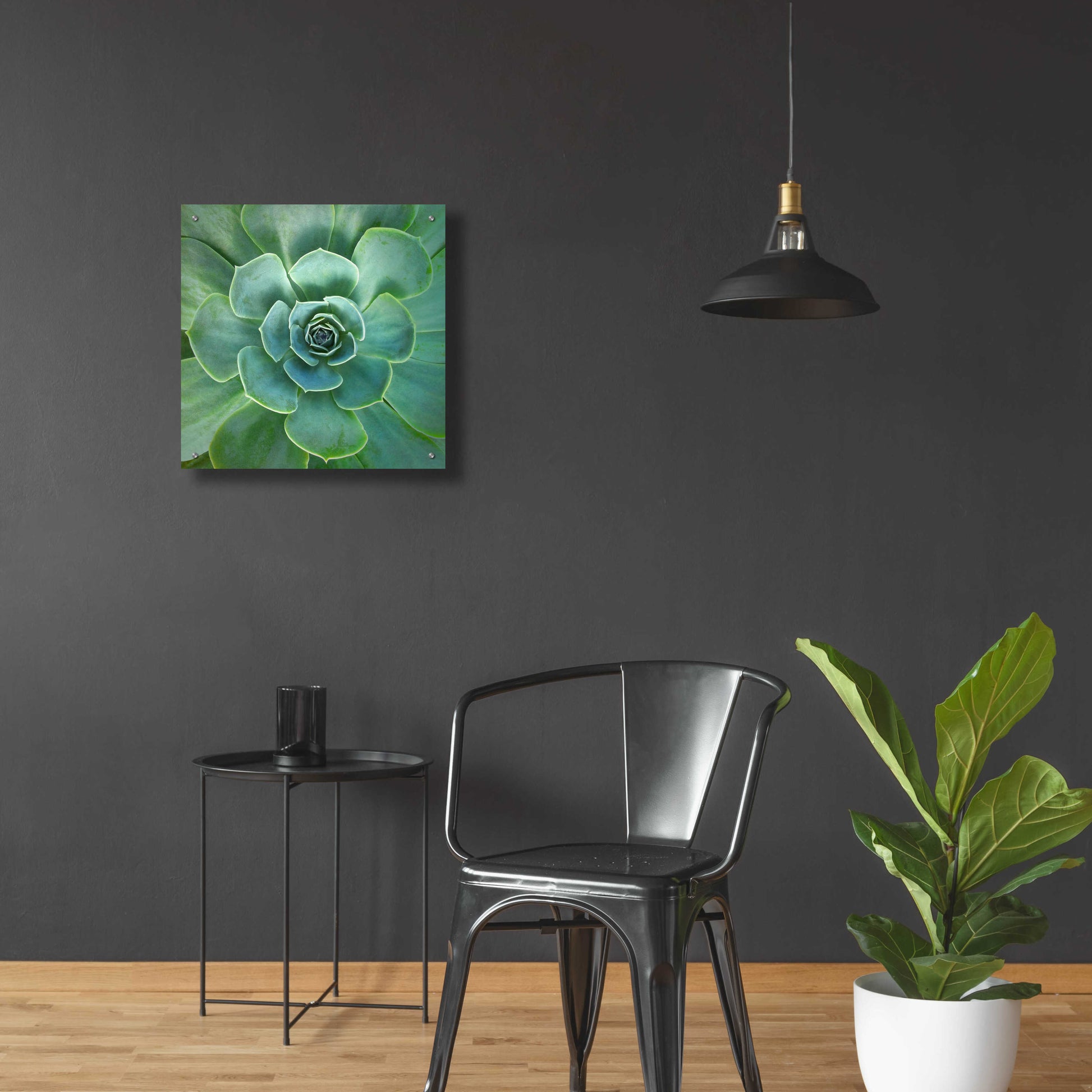 Epic Art 'Glowing Succulent' by Jan Bell Acrylic Glass Wall Art,24x24