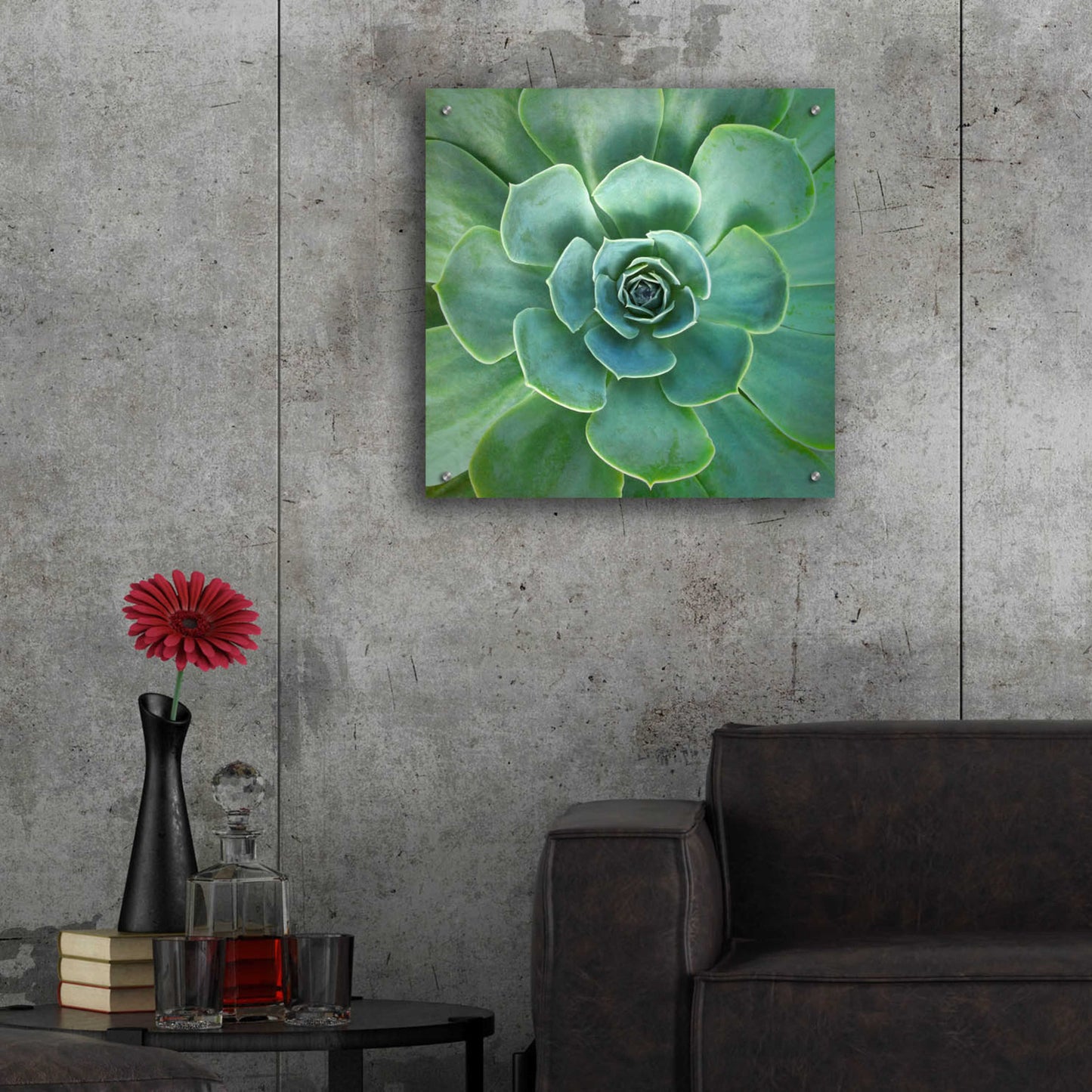 Epic Art 'Glowing Succulent' by Jan Bell Acrylic Glass Wall Art,24x24