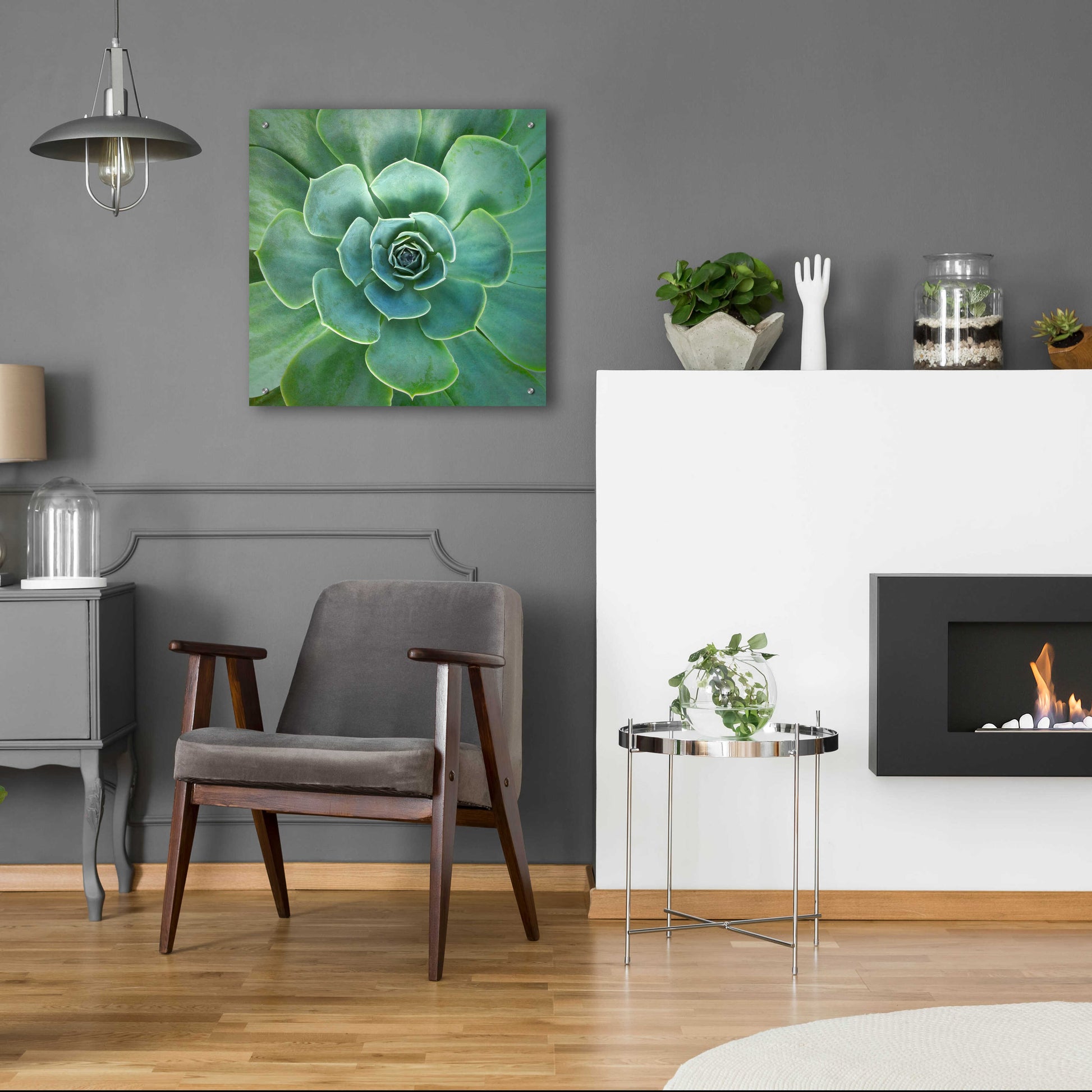 Epic Art 'Glowing Succulent' by Jan Bell Acrylic Glass Wall Art,24x24