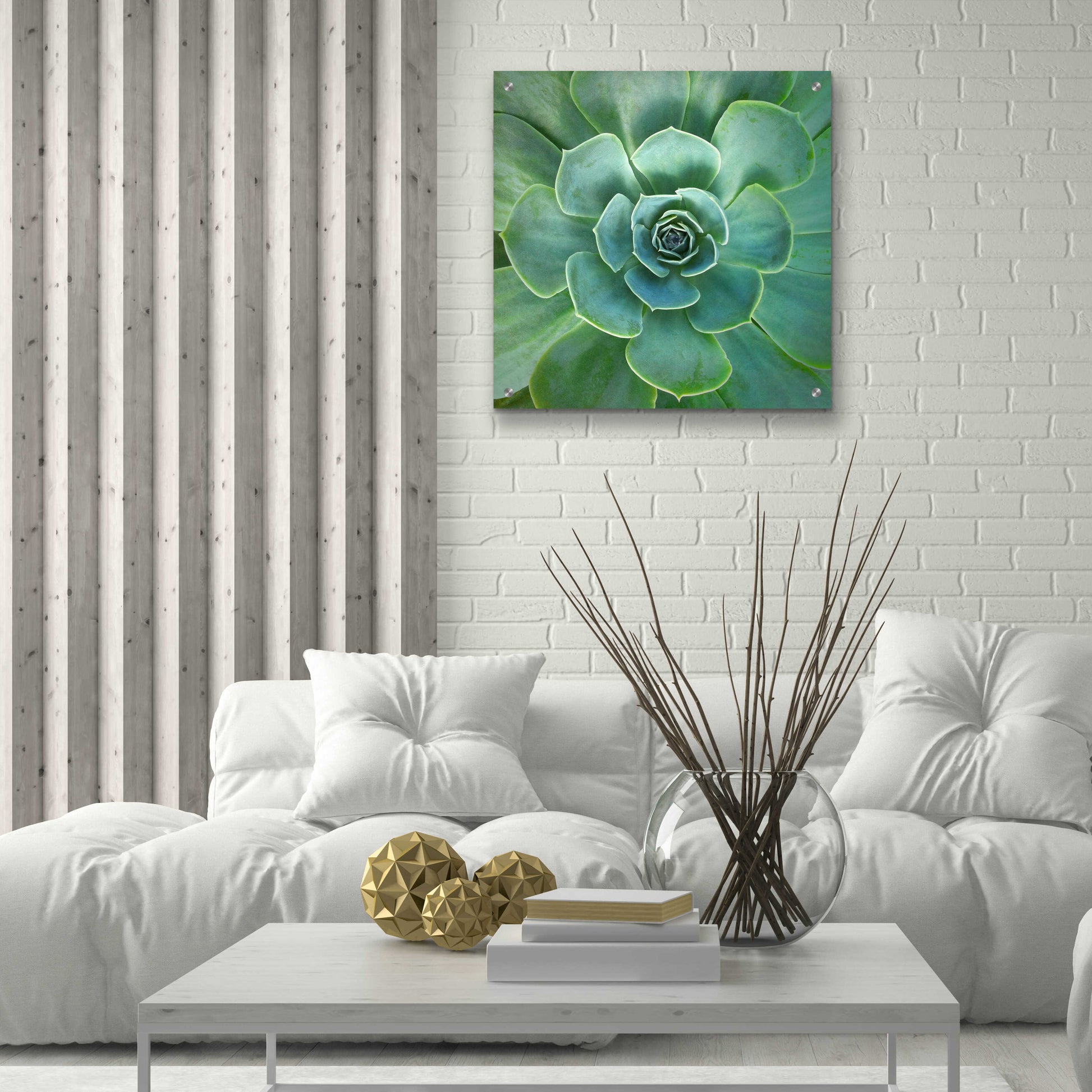 Epic Art 'Glowing Succulent' by Jan Bell Acrylic Glass Wall Art,24x24