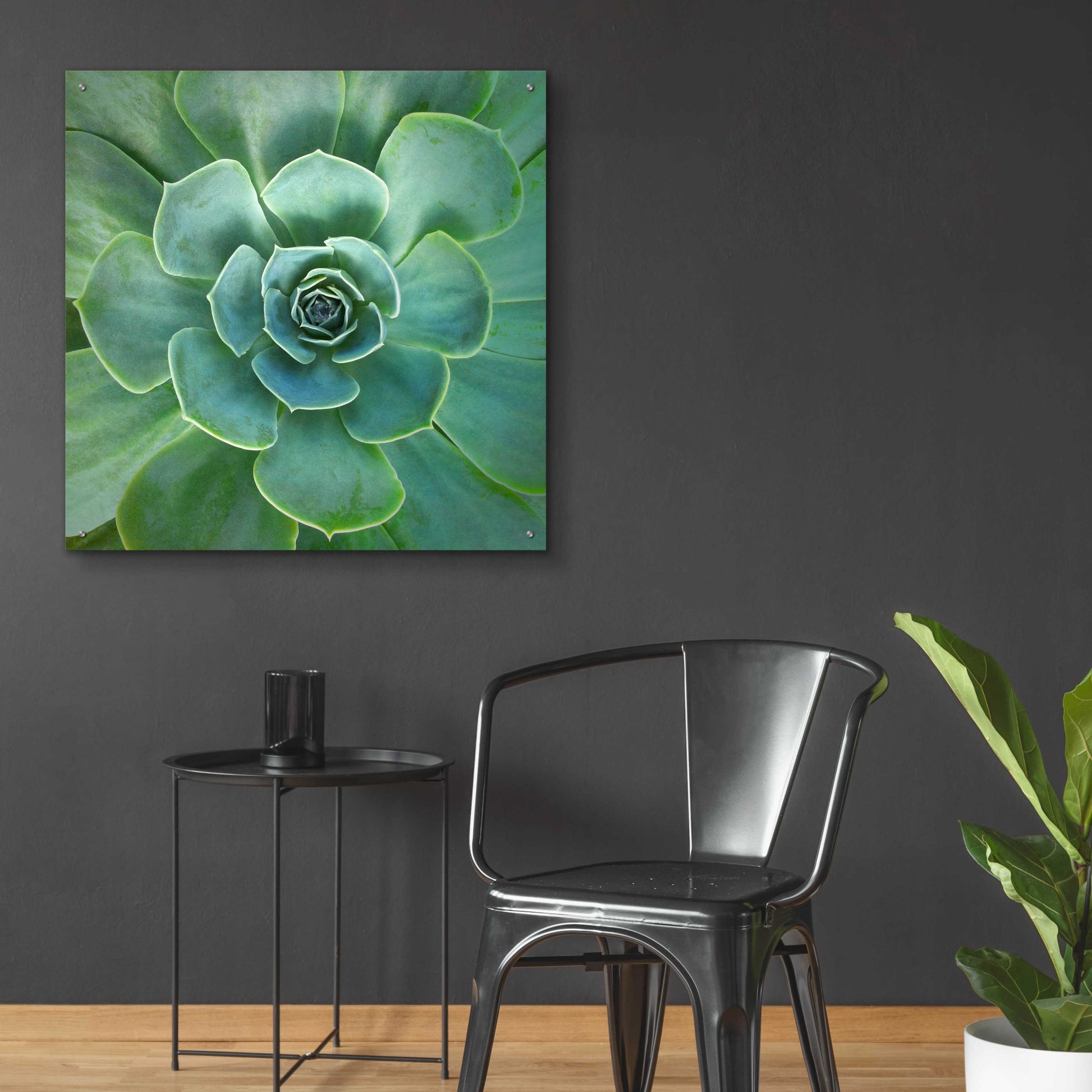 Epic Art 'Glowing Succulent' by Jan Bell Acrylic Glass Wall Art,36x36