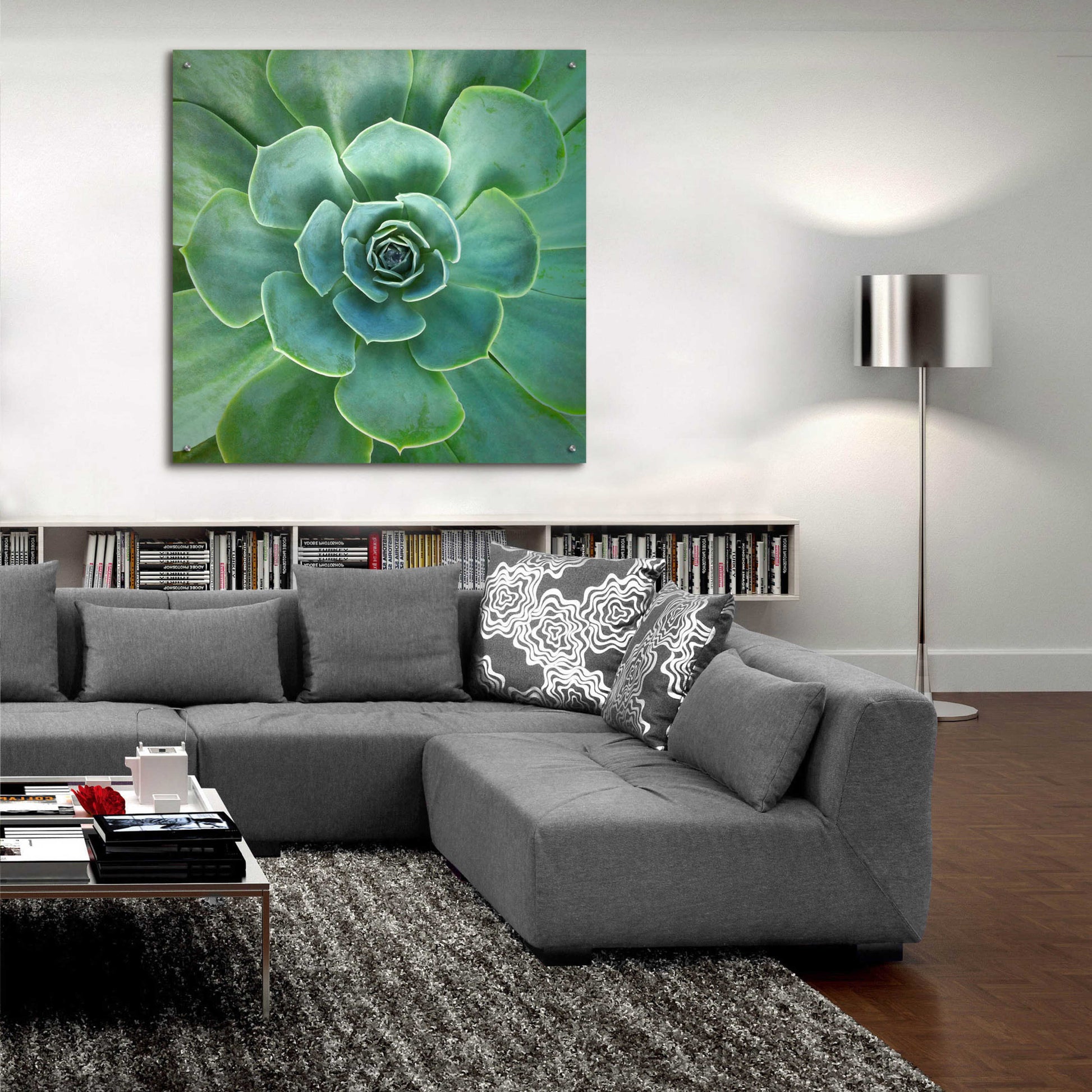 Epic Art 'Glowing Succulent' by Jan Bell Acrylic Glass Wall Art,36x36