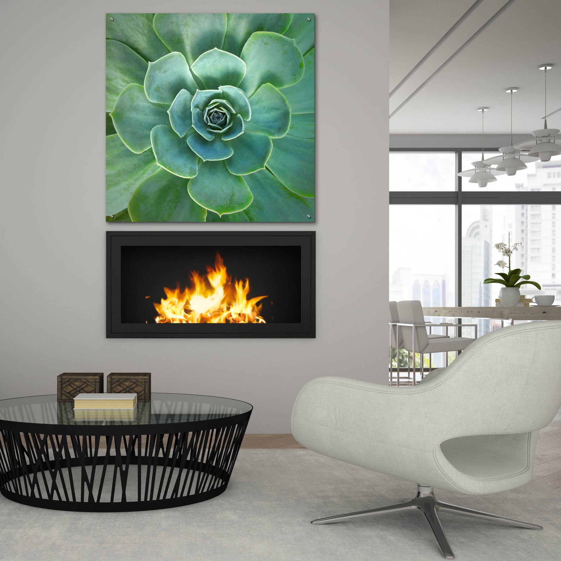 Epic Art 'Glowing Succulent' by Jan Bell Acrylic Glass Wall Art,36x36