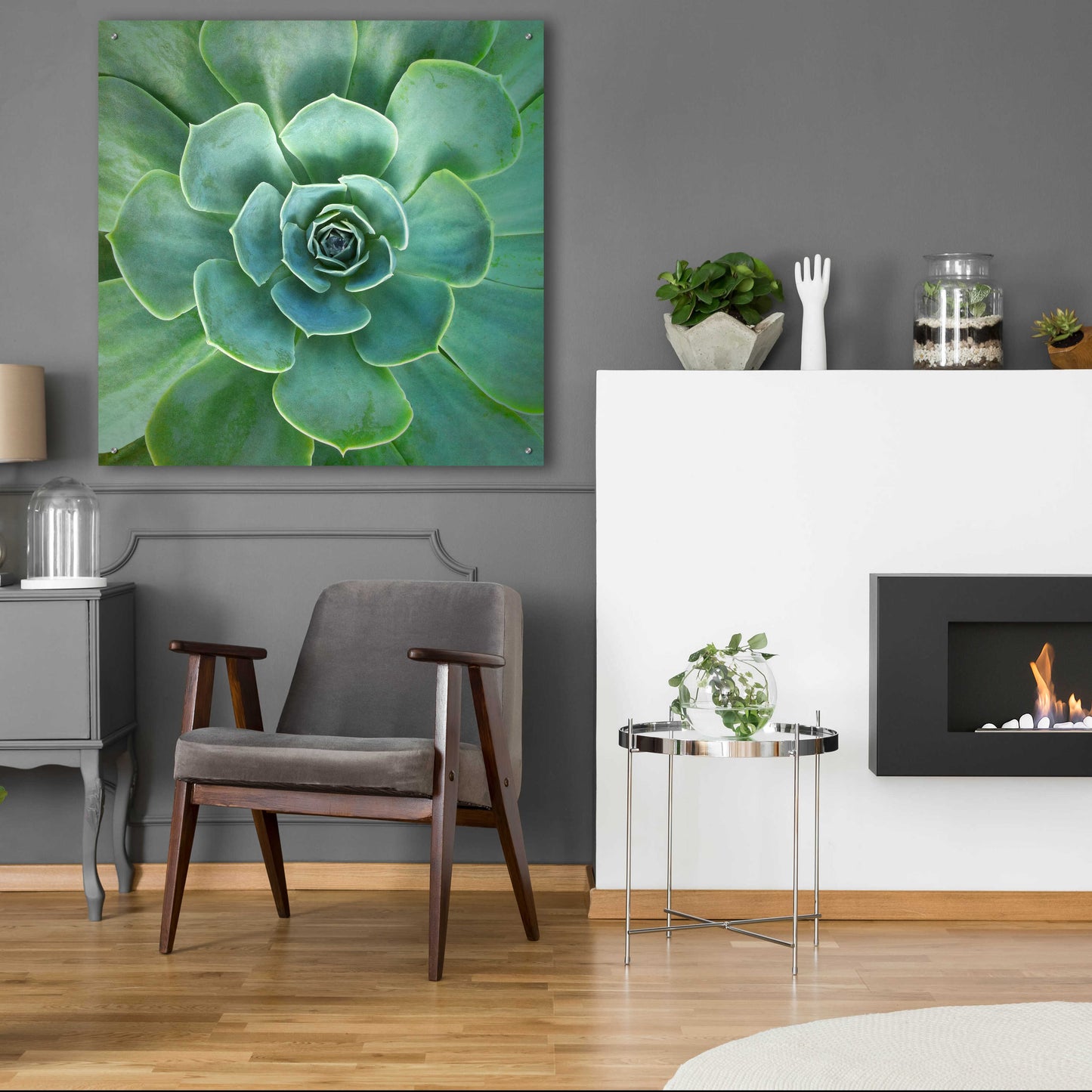 Epic Art 'Glowing Succulent' by Jan Bell Acrylic Glass Wall Art,36x36