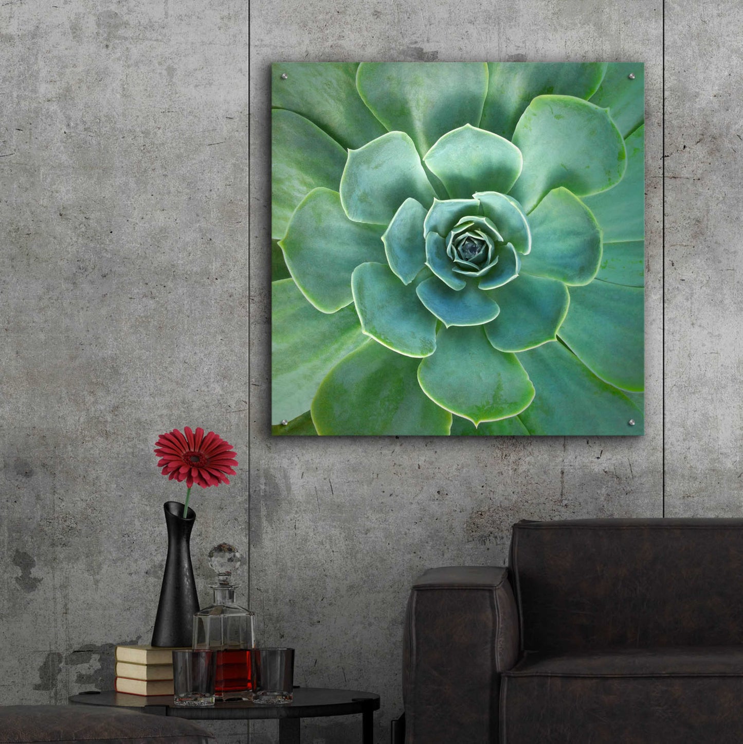 Epic Art 'Glowing Succulent' by Jan Bell Acrylic Glass Wall Art,36x36