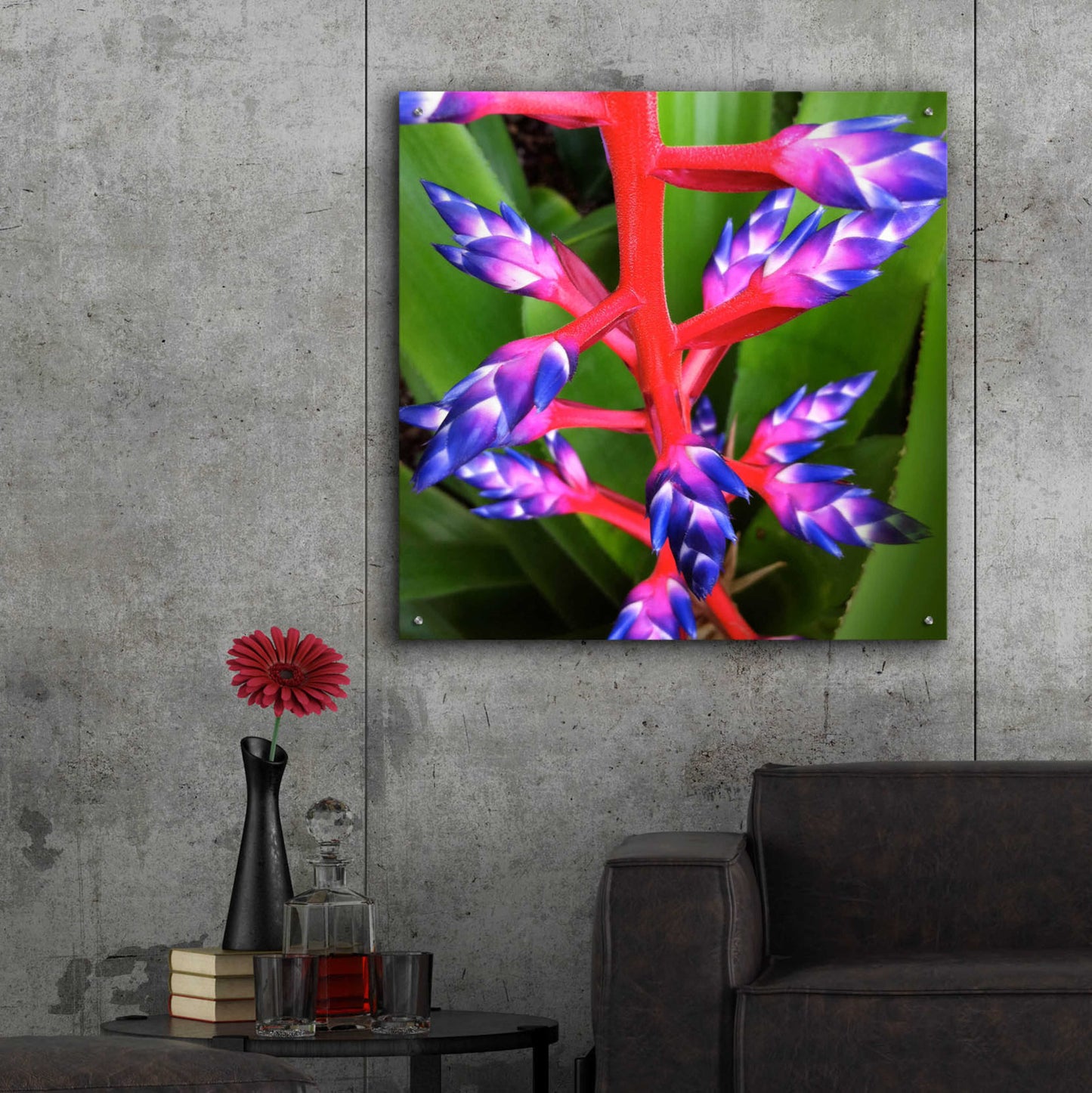 Epic Art 'Purple and Pink' by Jan Bell Acrylic Glass Wall Art,36x36