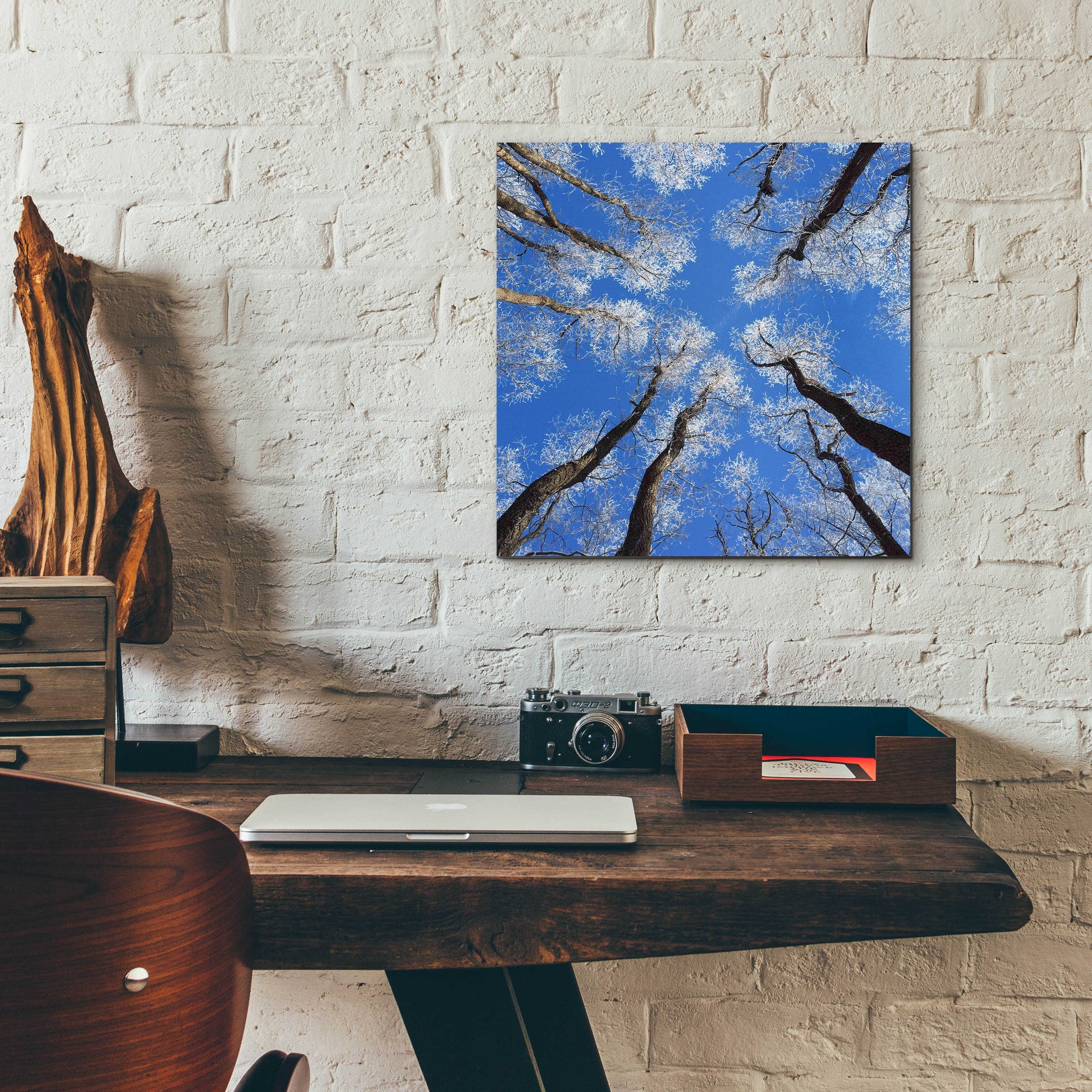 Epic Art 'Reaching Skyward' by Jan Bell Acrylic Glass Wall Art,12x12