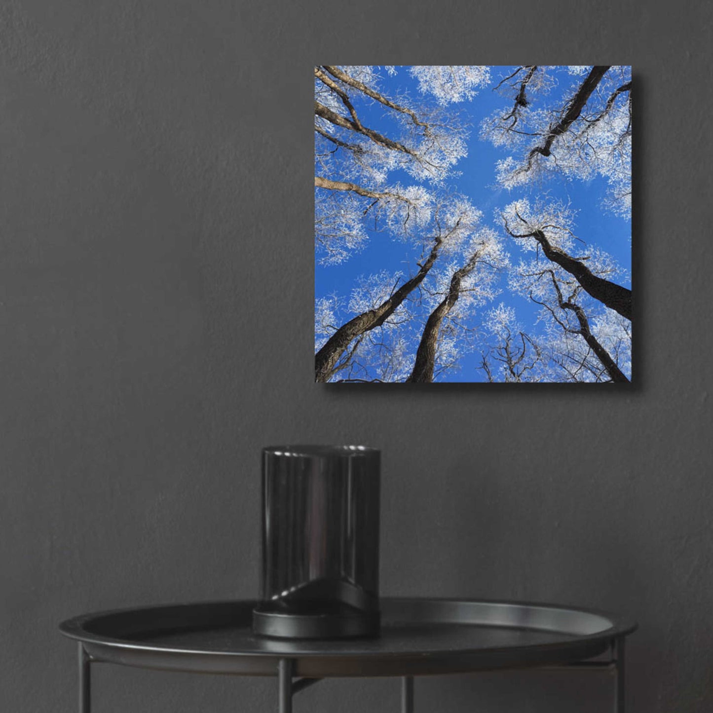 Epic Art 'Reaching Skyward' by Jan Bell Acrylic Glass Wall Art,12x12