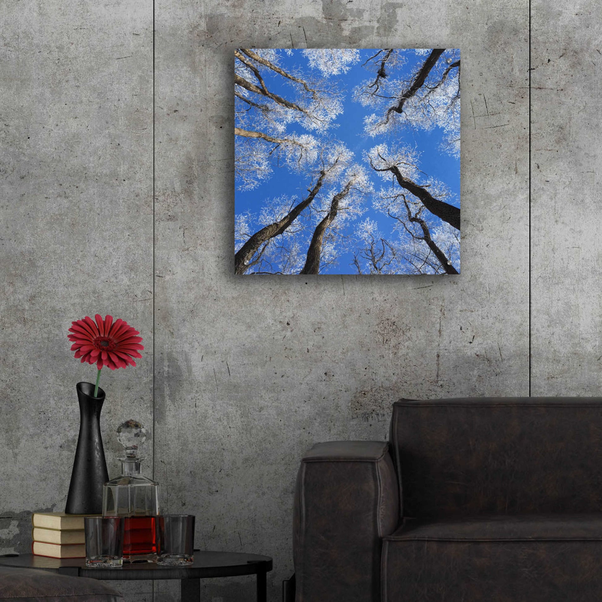 Epic Art 'Reaching Skyward' by Jan Bell Acrylic Glass Wall Art,24x24