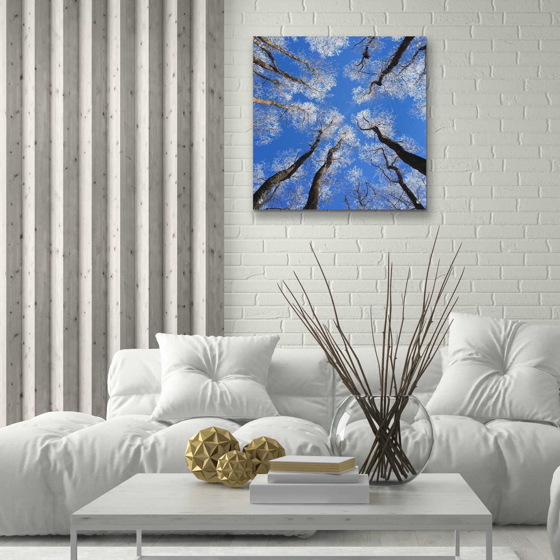 Epic Art 'Reaching Skyward' by Jan Bell Acrylic Glass Wall Art,24x24