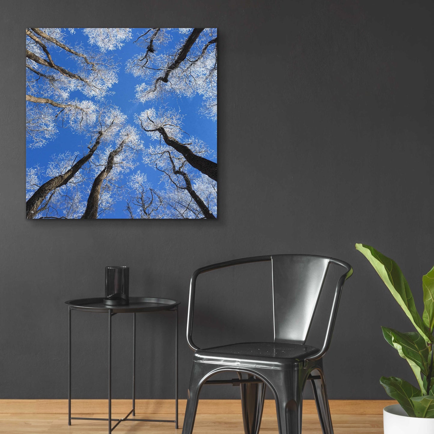 Epic Art 'Reaching Skyward' by Jan Bell Acrylic Glass Wall Art,36x36