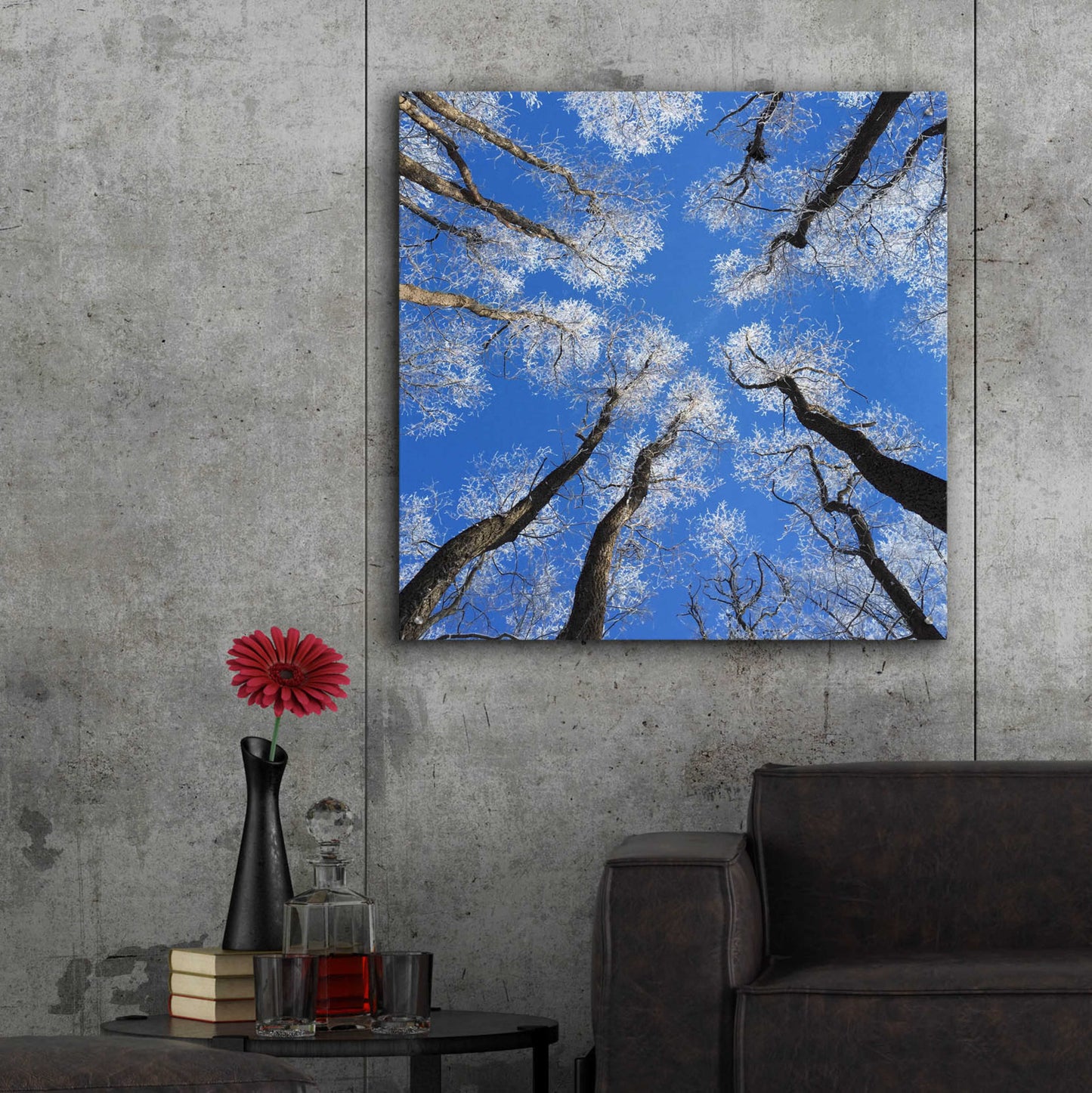 Epic Art 'Reaching Skyward' by Jan Bell Acrylic Glass Wall Art,36x36