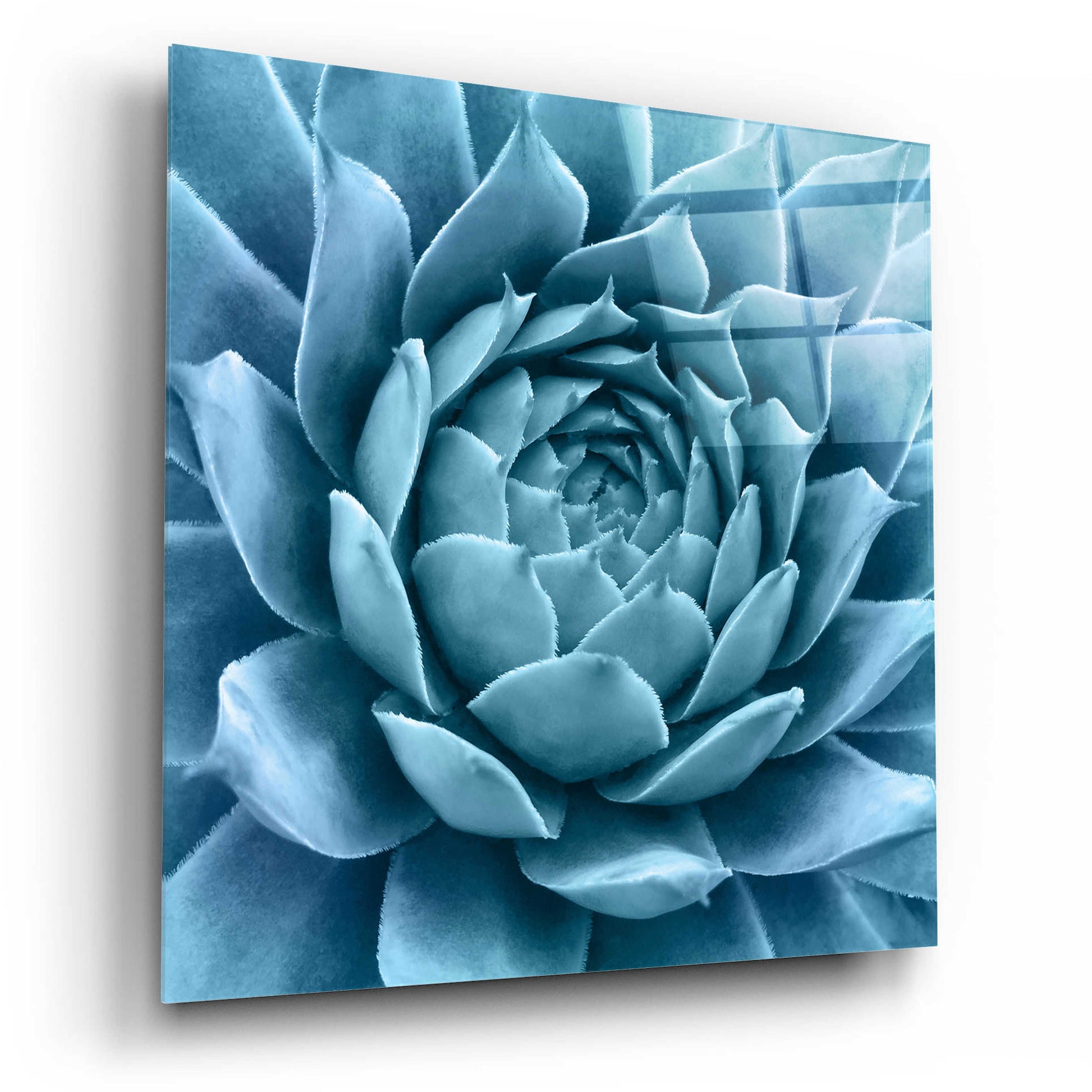 Epic Art 'Silvery Blue Agave' by Jan Bell Acrylic Glass Wall Art,12x12