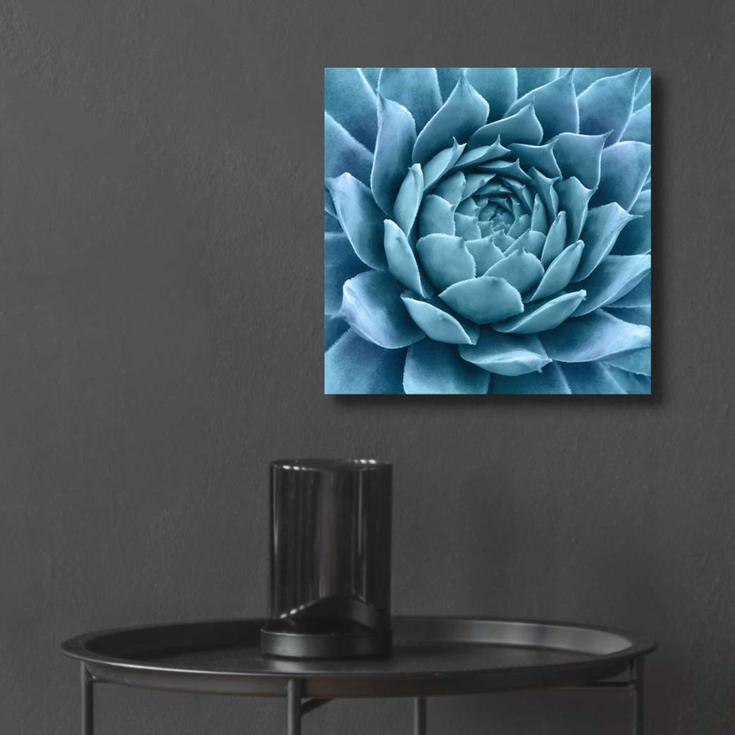 Epic Art 'Silvery Blue Agave' by Jan Bell Acrylic Glass Wall Art,12x12