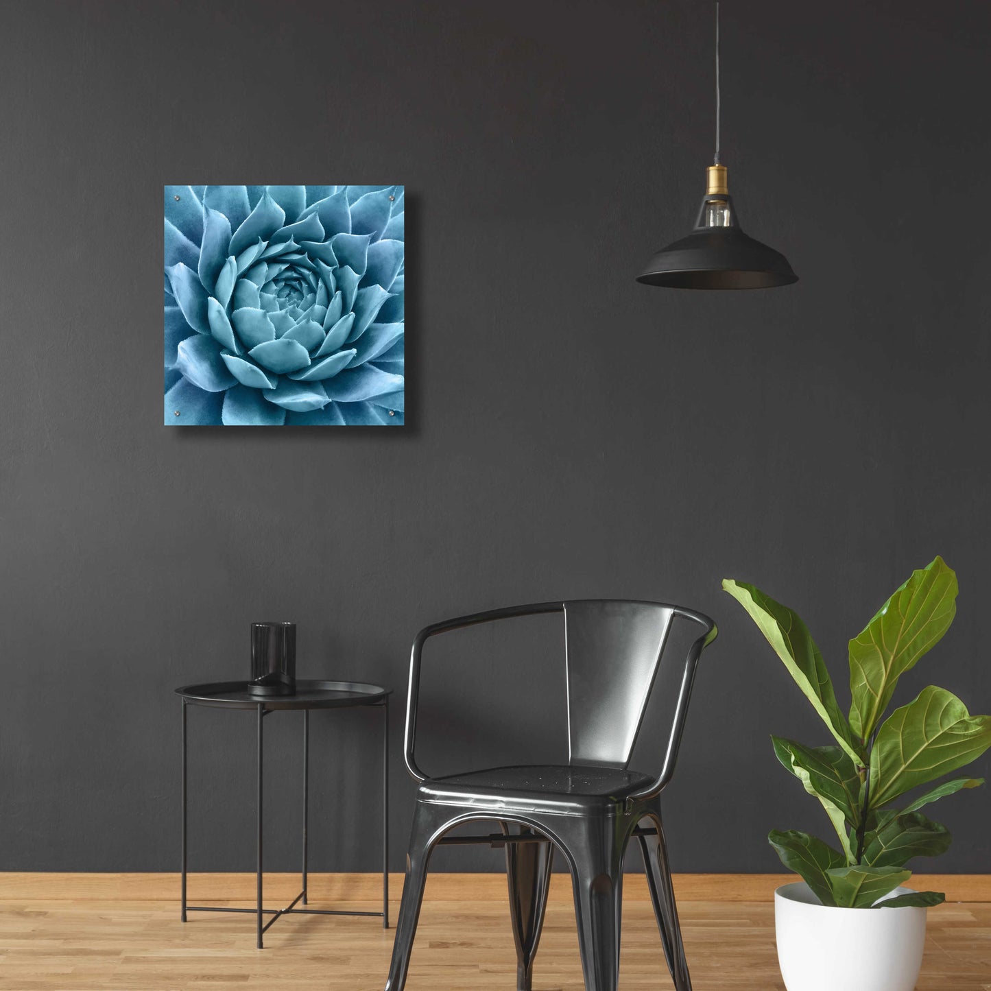 Epic Art 'Silvery Blue Agave' by Jan Bell Acrylic Glass Wall Art,24x24