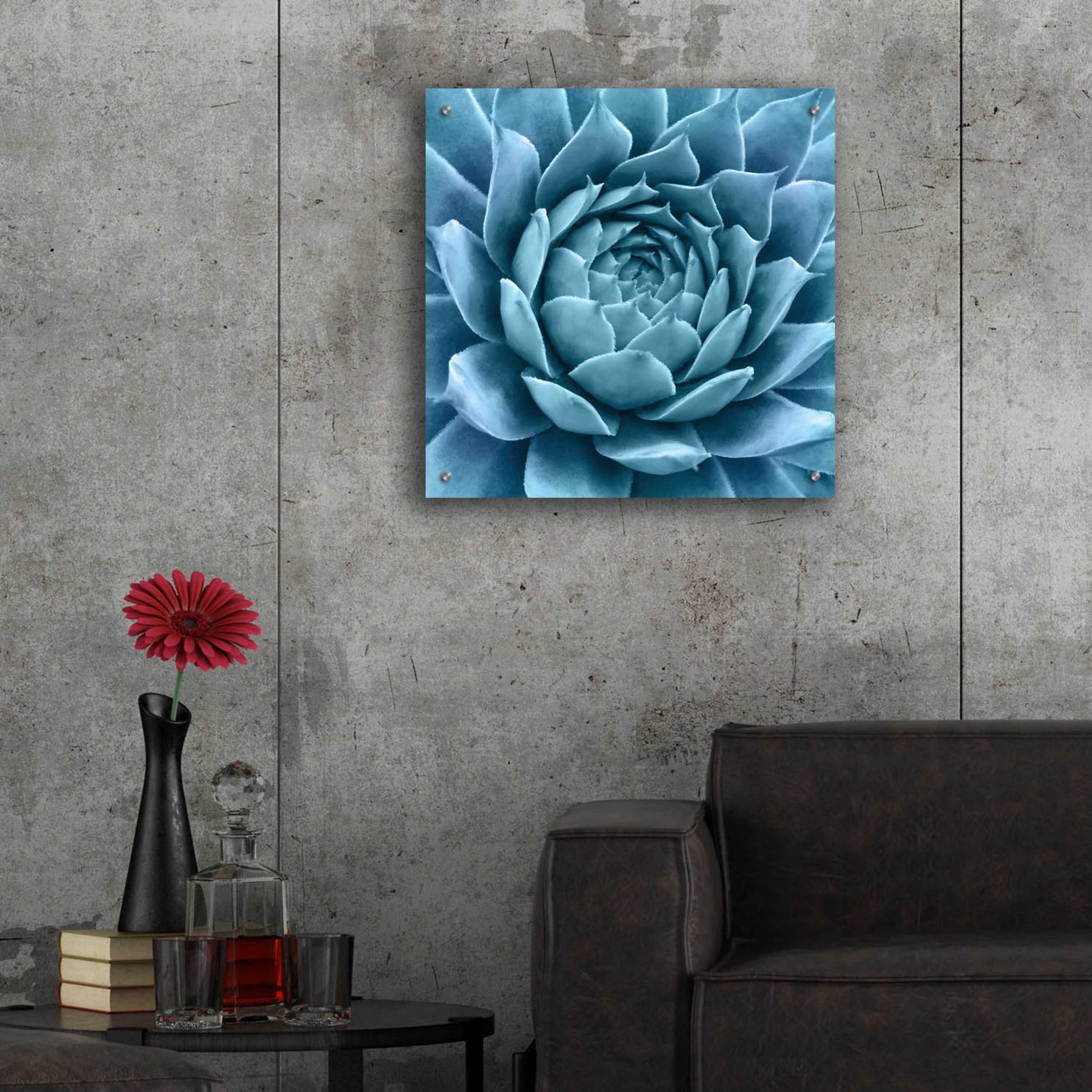 Epic Art 'Silvery Blue Agave' by Jan Bell Acrylic Glass Wall Art,24x24