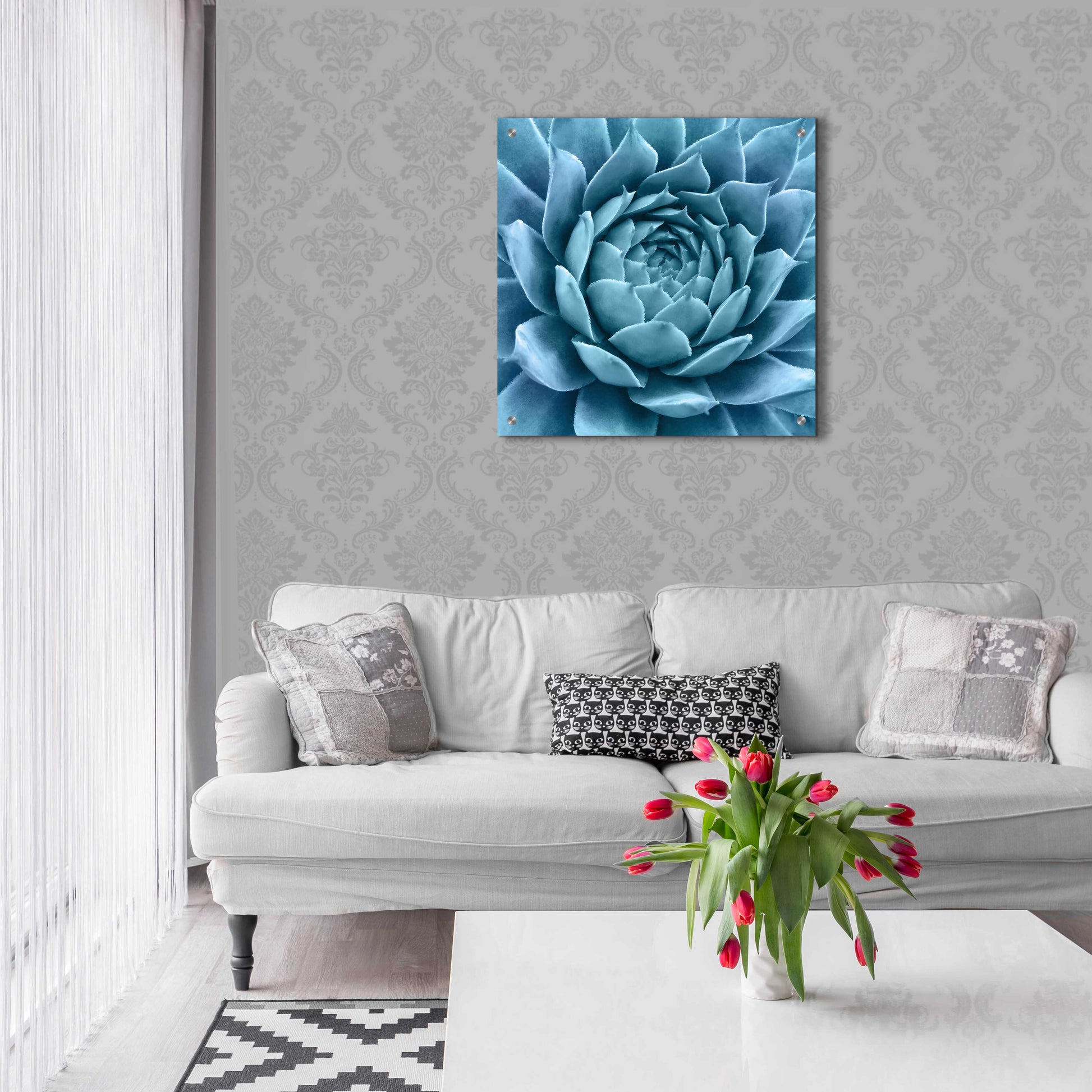 Epic Art 'Silvery Blue Agave' by Jan Bell Acrylic Glass Wall Art,24x24