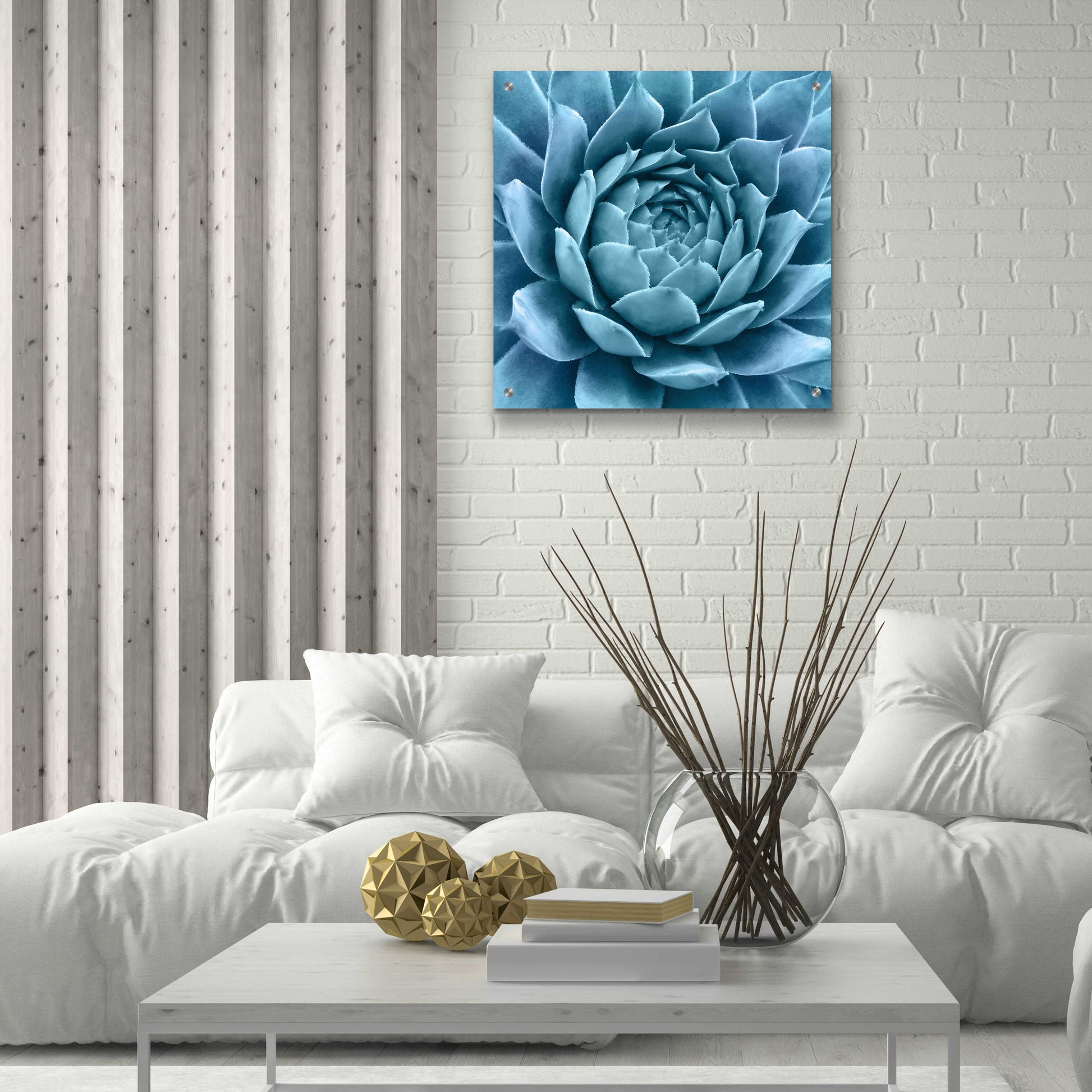 Epic Art 'Silvery Blue Agave' by Jan Bell Acrylic Glass Wall Art,24x24