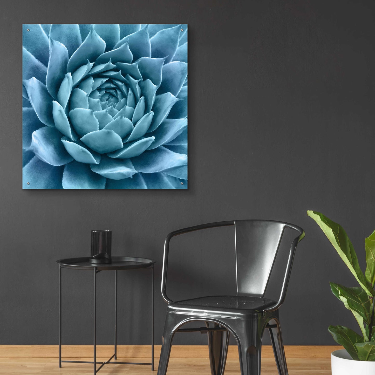 Epic Art 'Silvery Blue Agave' by Jan Bell Acrylic Glass Wall Art,36x36