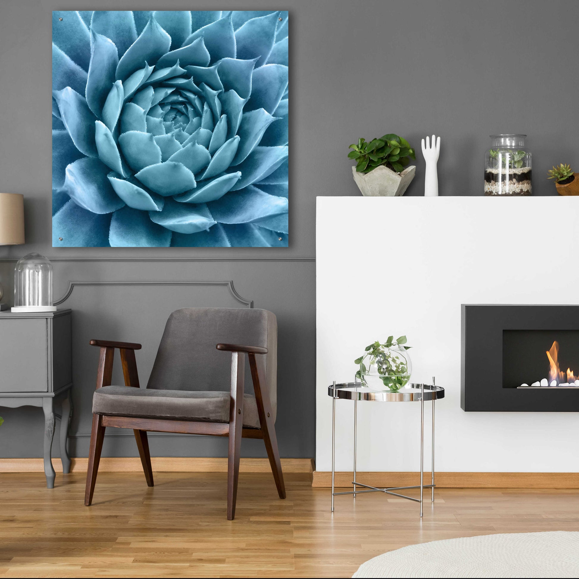 Epic Art 'Silvery Blue Agave' by Jan Bell Acrylic Glass Wall Art,36x36