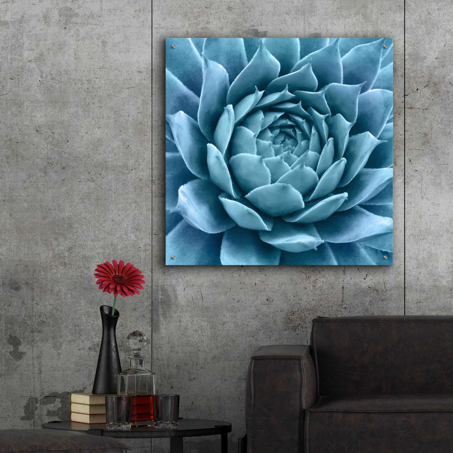 Epic Art 'Silvery Blue Agave' by Jan Bell Acrylic Glass Wall Art,36x36