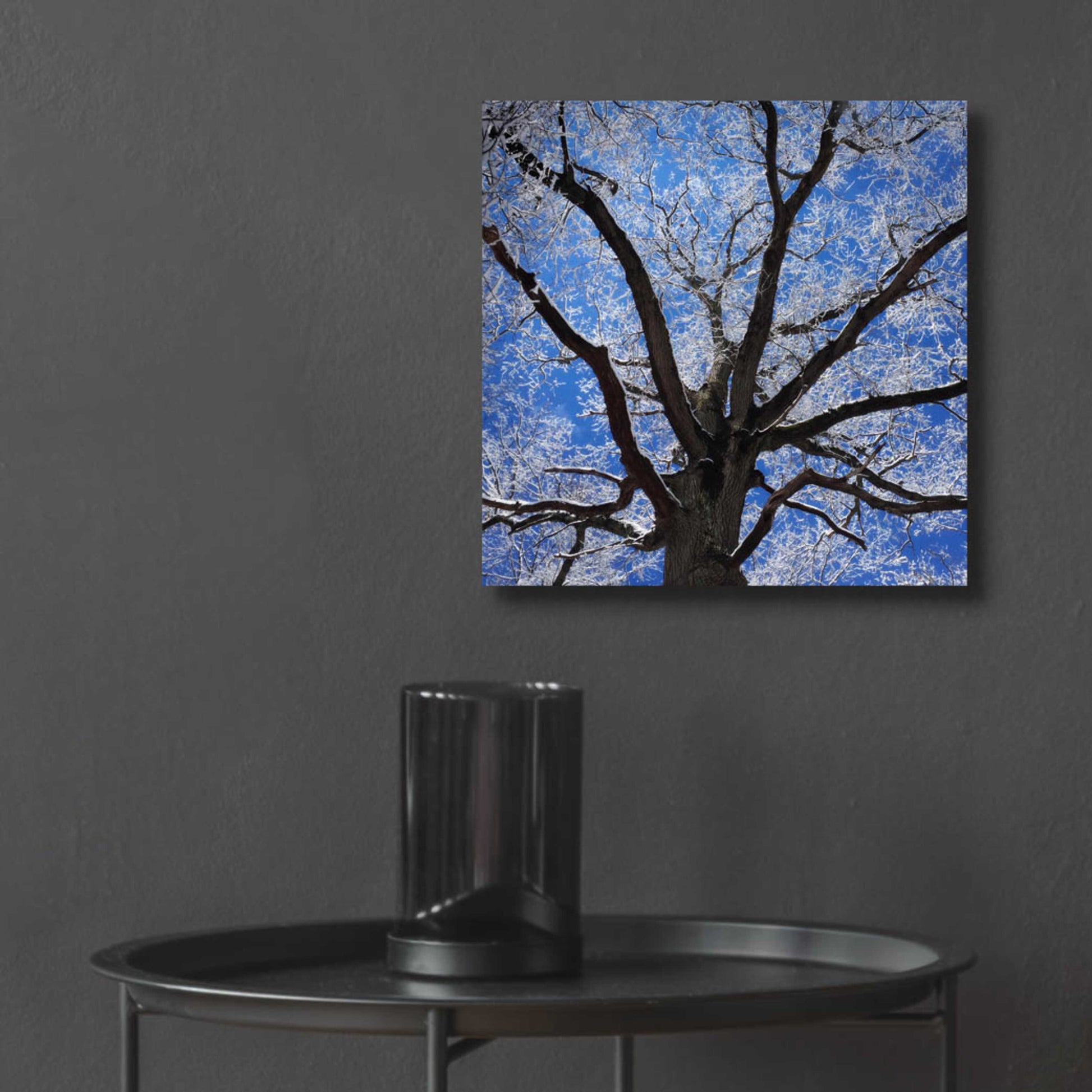 Epic Art 'Snow Covered Tree' by Jan Bell Acrylic Glass Wall Art,12x12